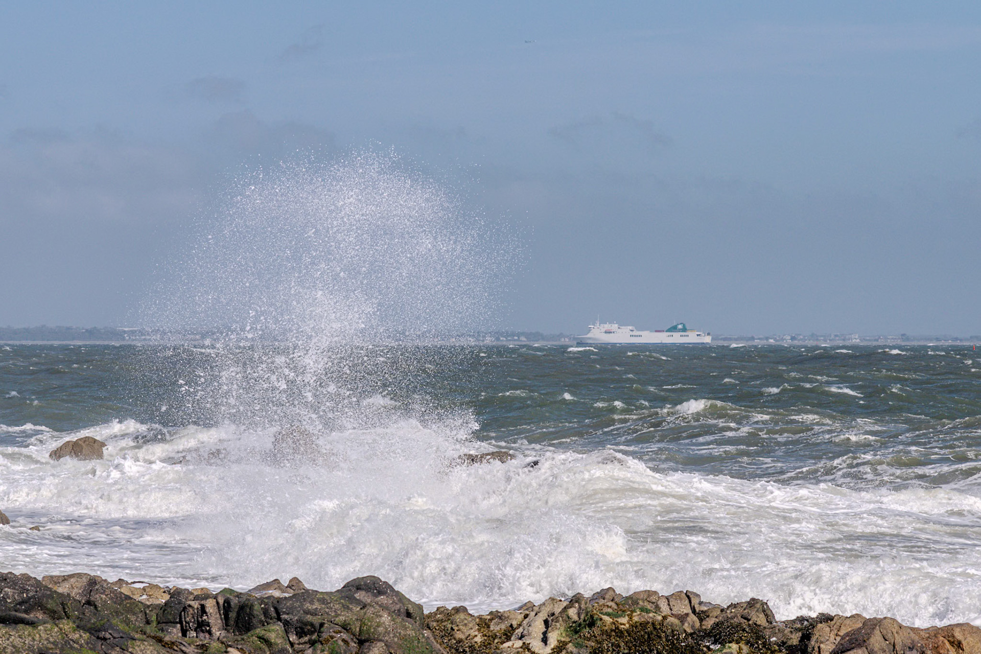 A study in contrast and chaos—where the relentless rhythm of the tide meets the immovable granite of the Dublin coast.