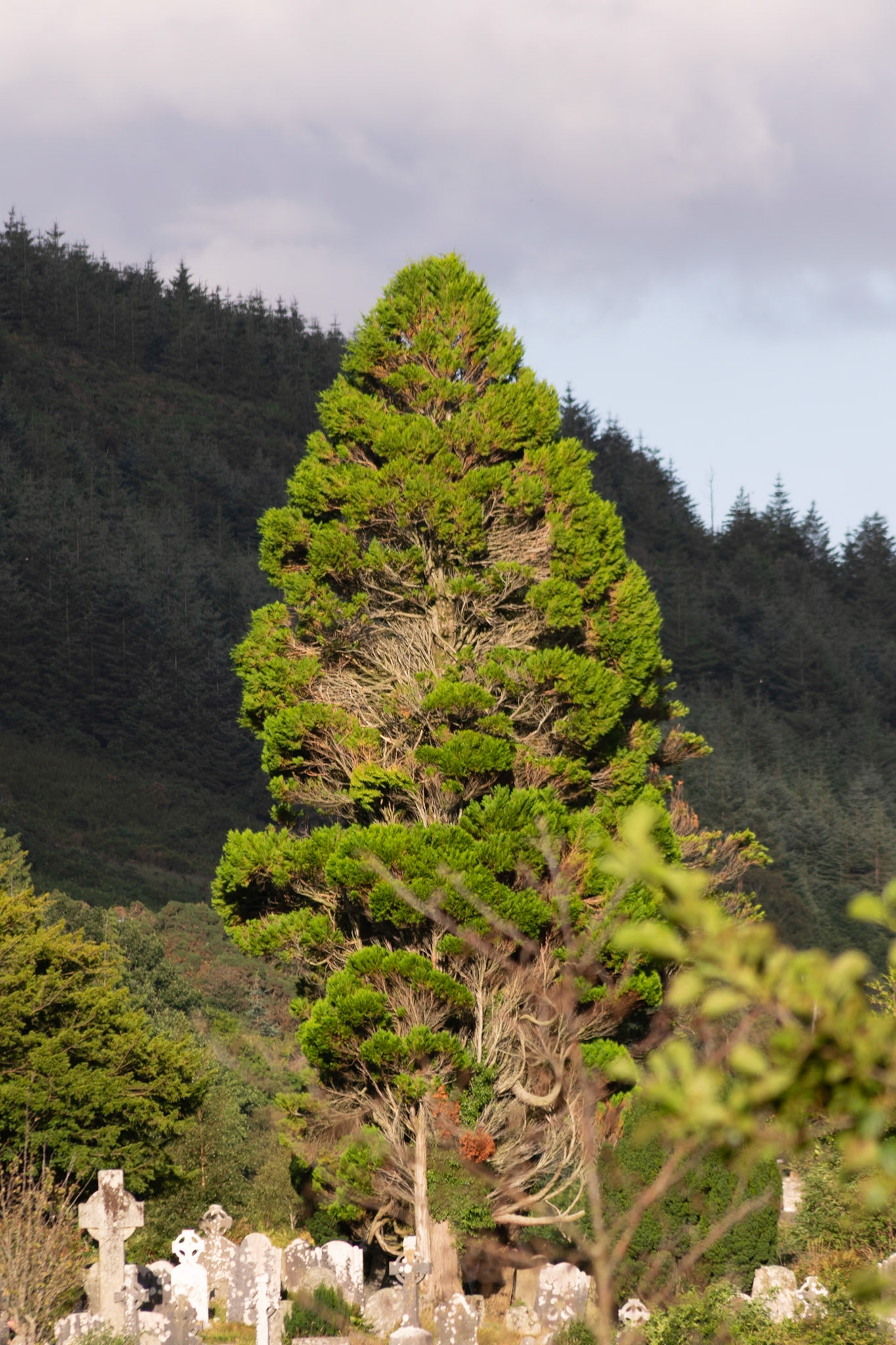 Wandering through the ancient, moss-covered ruins and weathered high crosses of Glendalough's 6th-century monastic city.