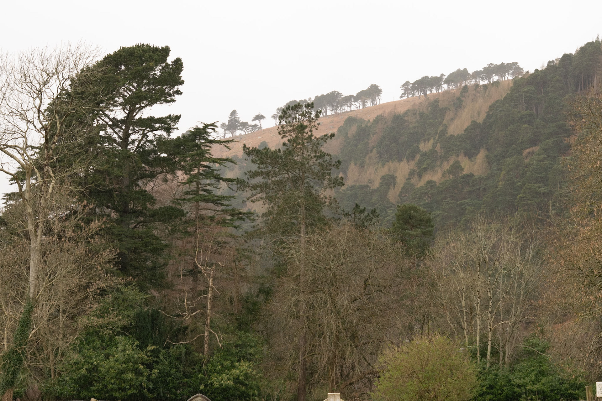 Wandering through the ancient, moss-covered ruins and weathered high crosses of Glendalough's 6th-century monastic city.