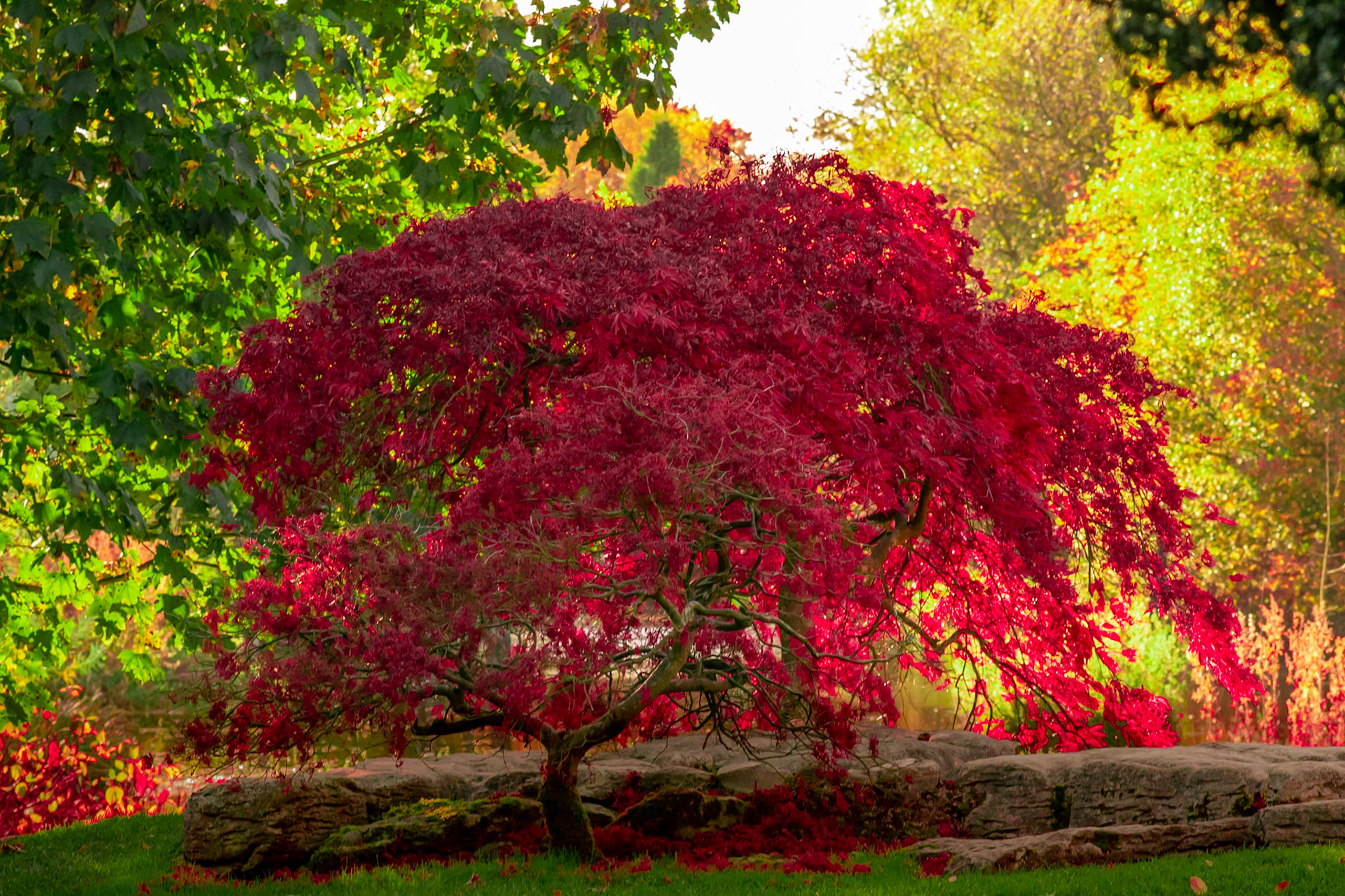 #red #countryside #lac #landscape