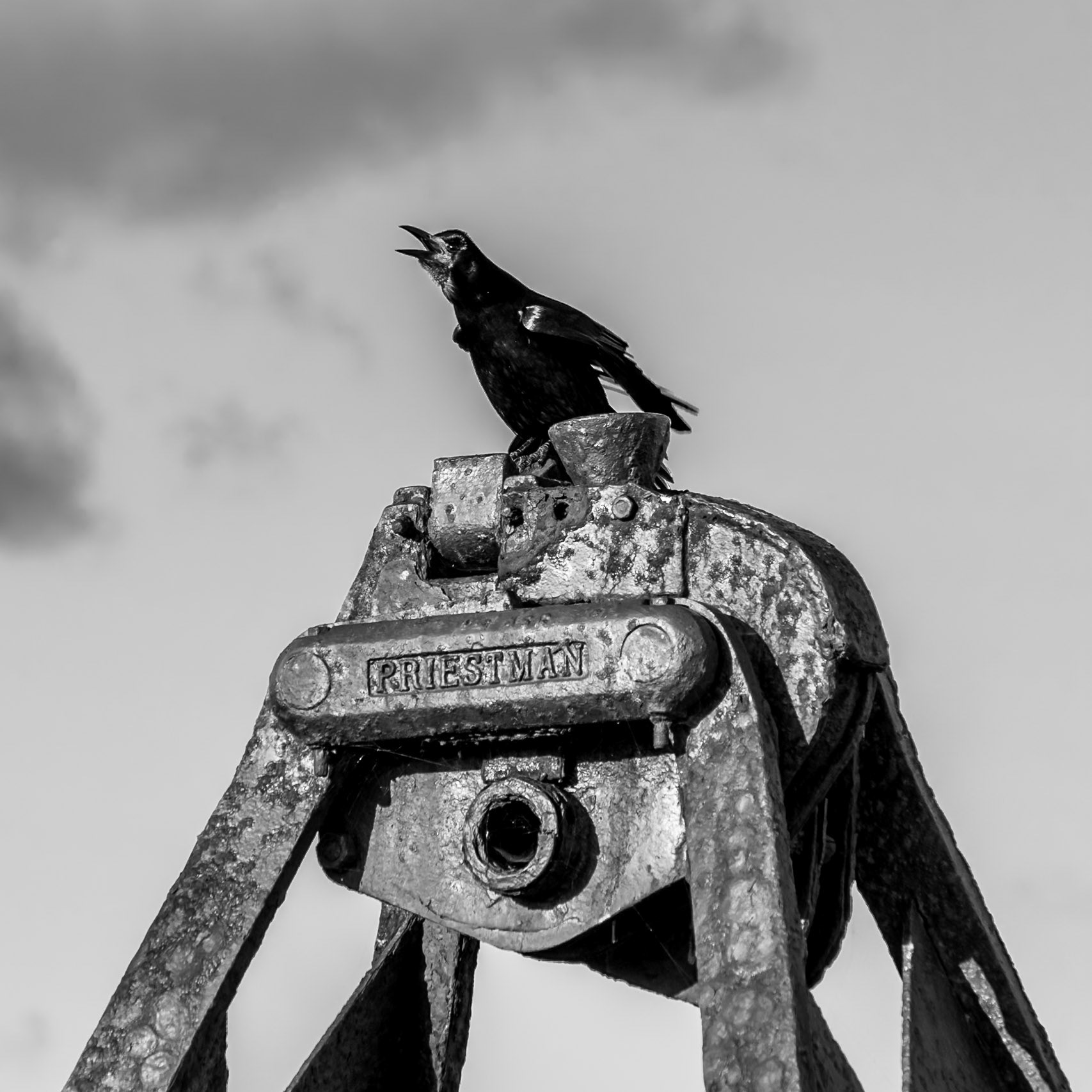 Finding the hidden stories, dramatic lines, and quiet moods that emerge when the world is reduced to monochrome.