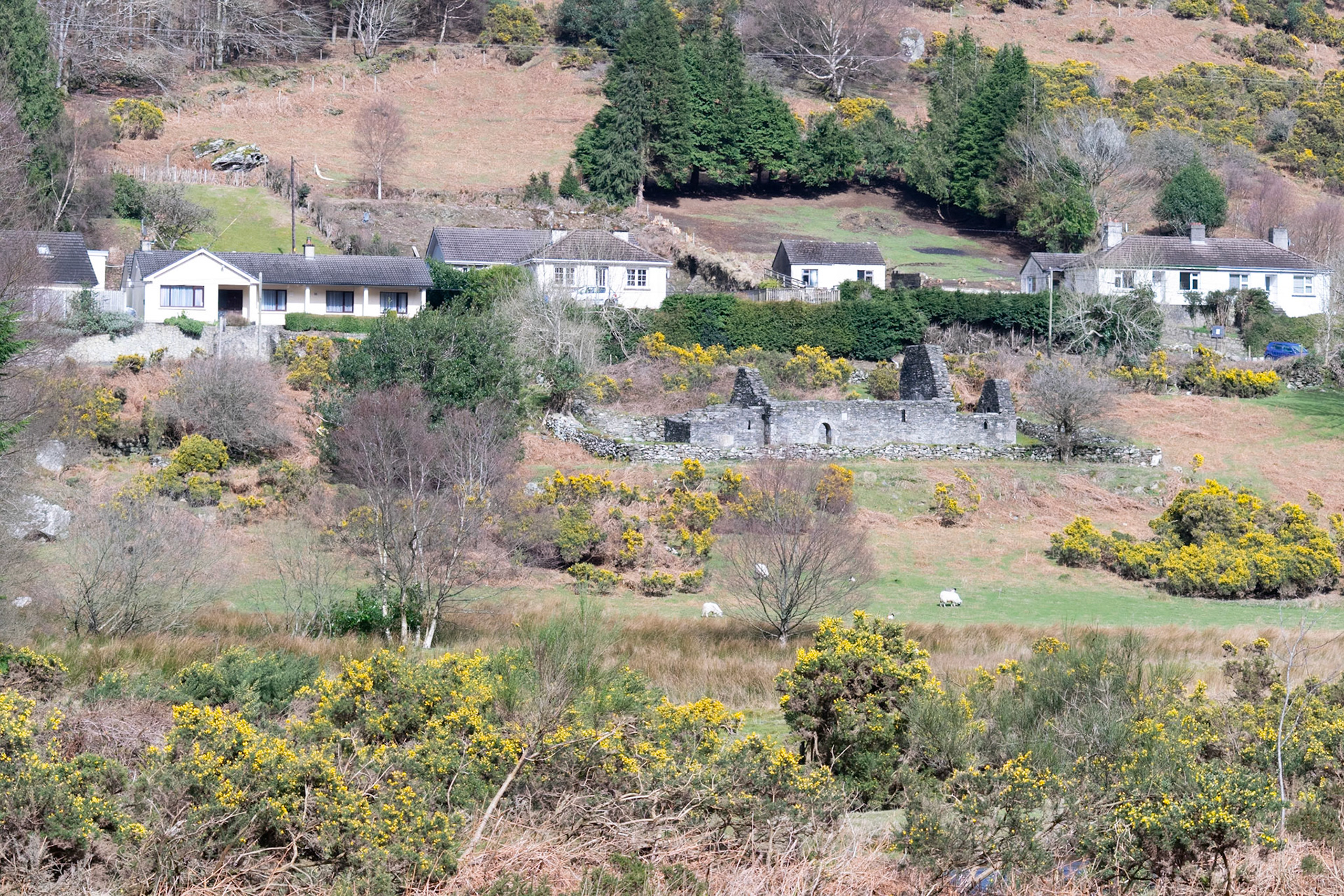 Wandering through the ancient, moss-covered ruins and weathered high crosses of Glendalough's 6th-century monastic city.
