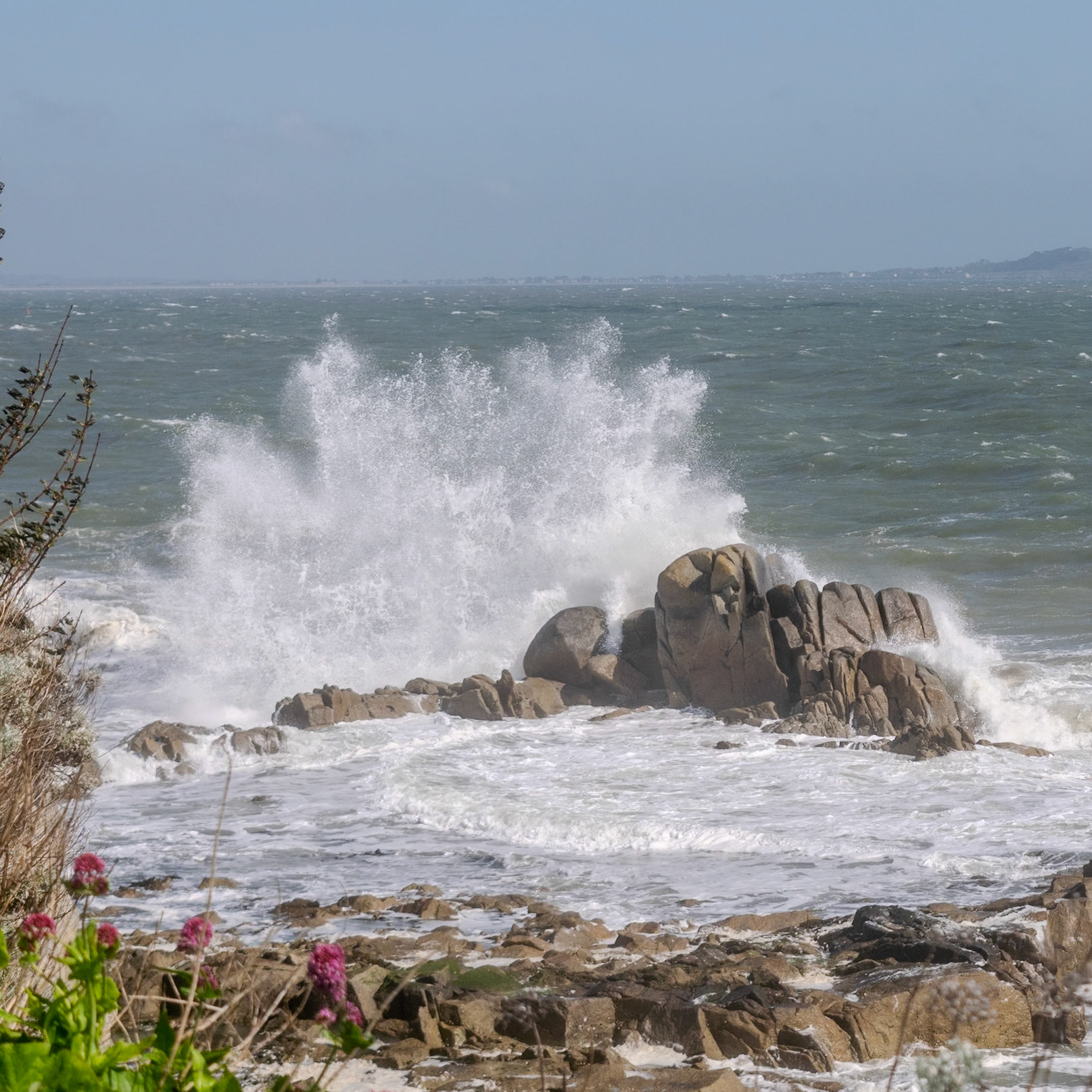 A study in contrast and chaos—where the relentless rhythm of the tide meets the immovable granite of the Dublin coast.