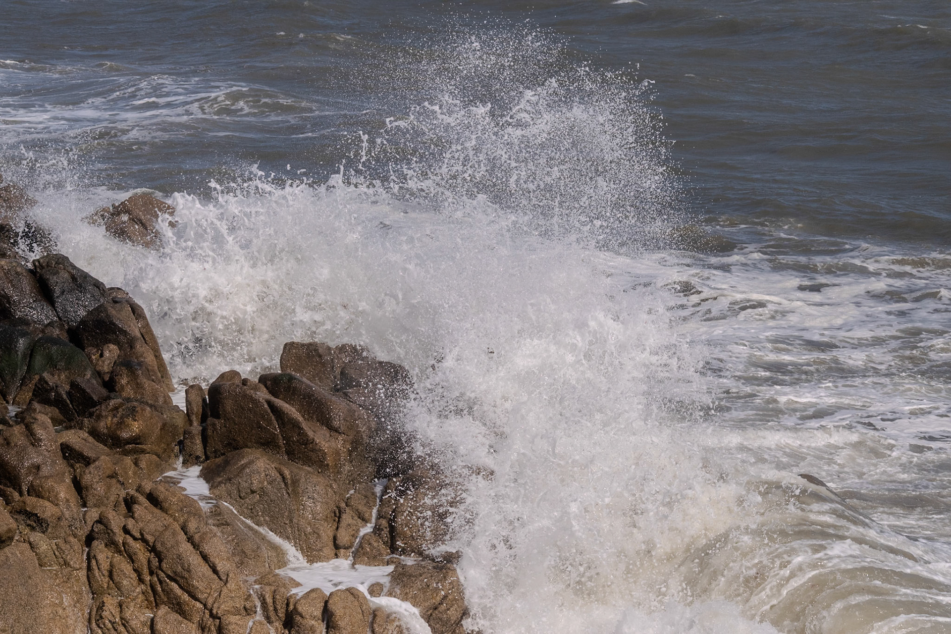 A study in contrast and chaos—where the relentless rhythm of the tide meets the immovable granite of the Dublin coast.