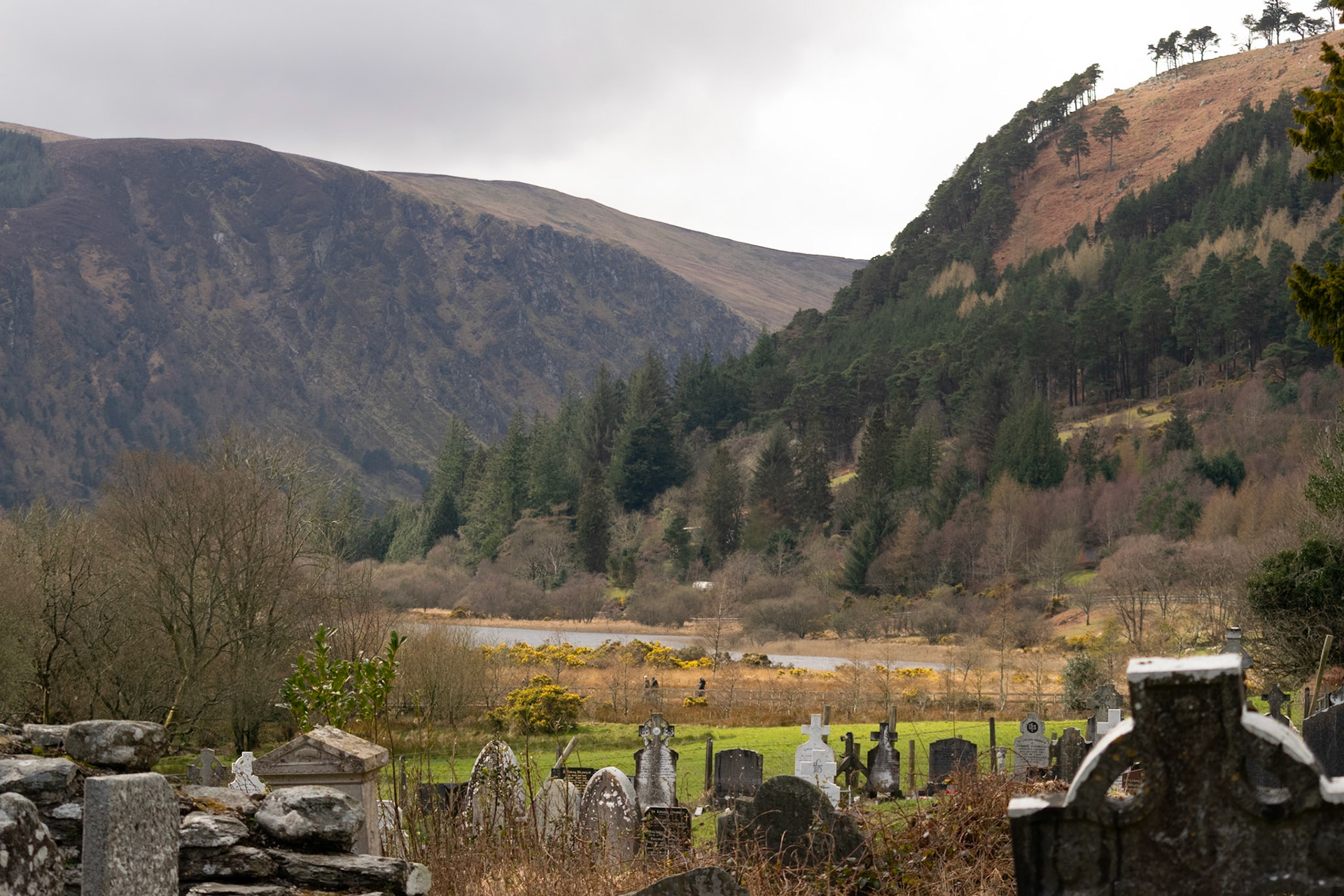 Wandering through the ancient, moss-covered ruins and weathered high crosses of Glendalough's 6th-century monastic city.