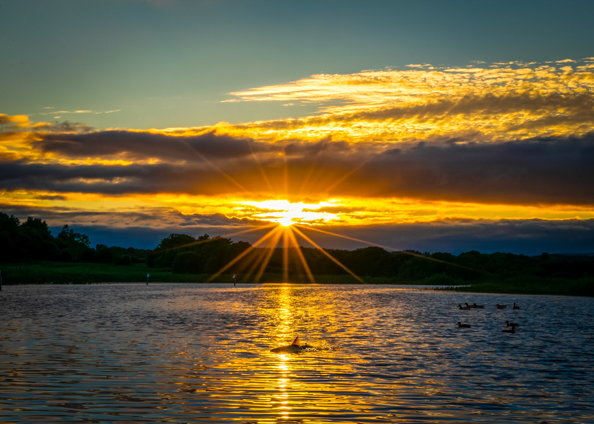 Watching the sun dip below the horizon over Ireland’s longest river, where the evening light turns the water into a mirror of gold.