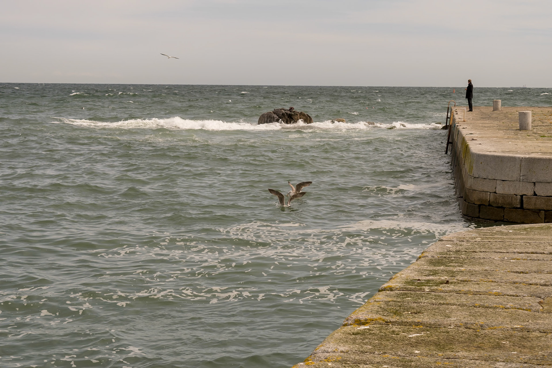 Bullock Harbour