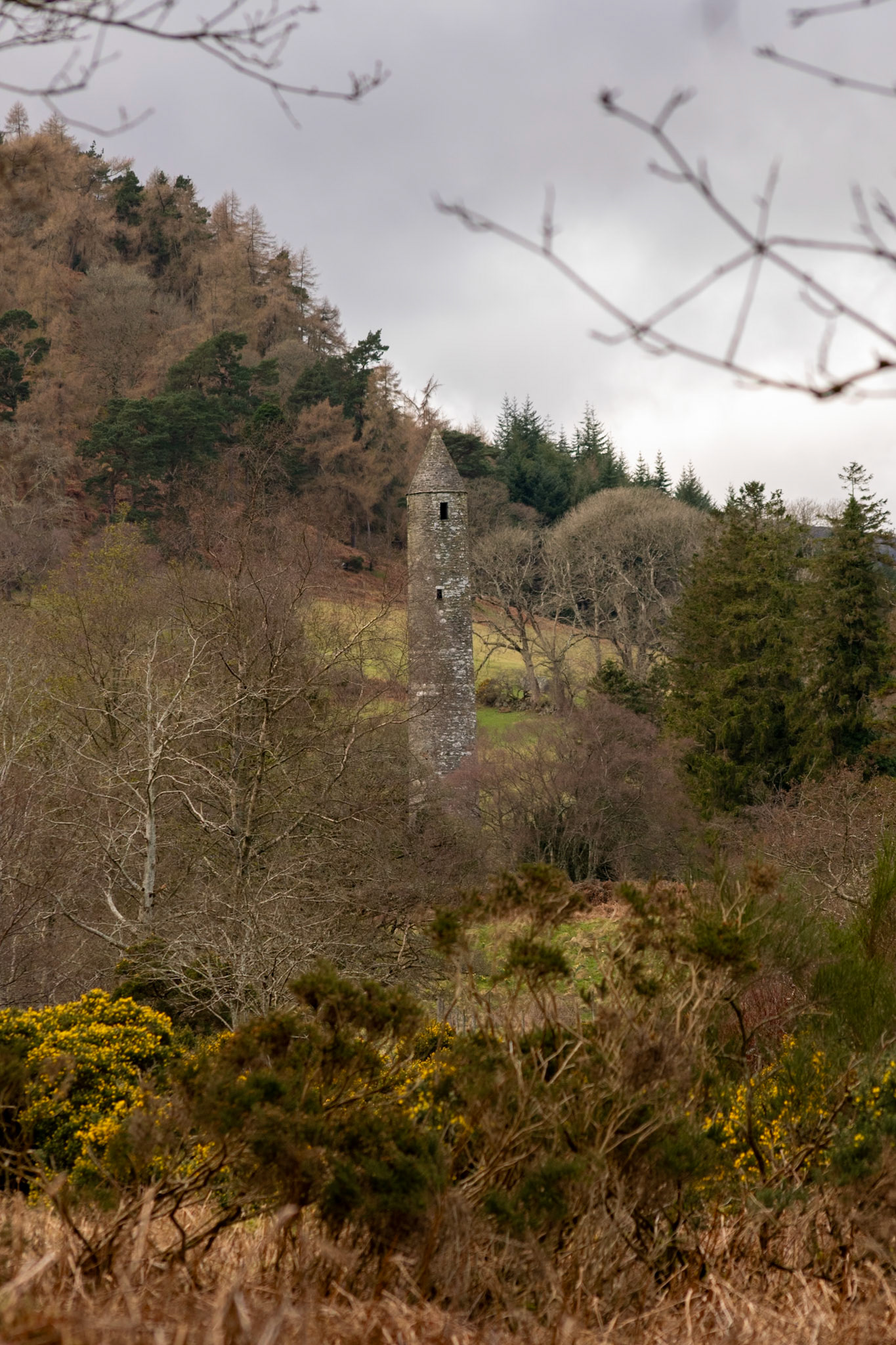 Wandering through the ancient, moss-covered ruins and weathered high crosses of Glendalough's 6th-century monastic city.