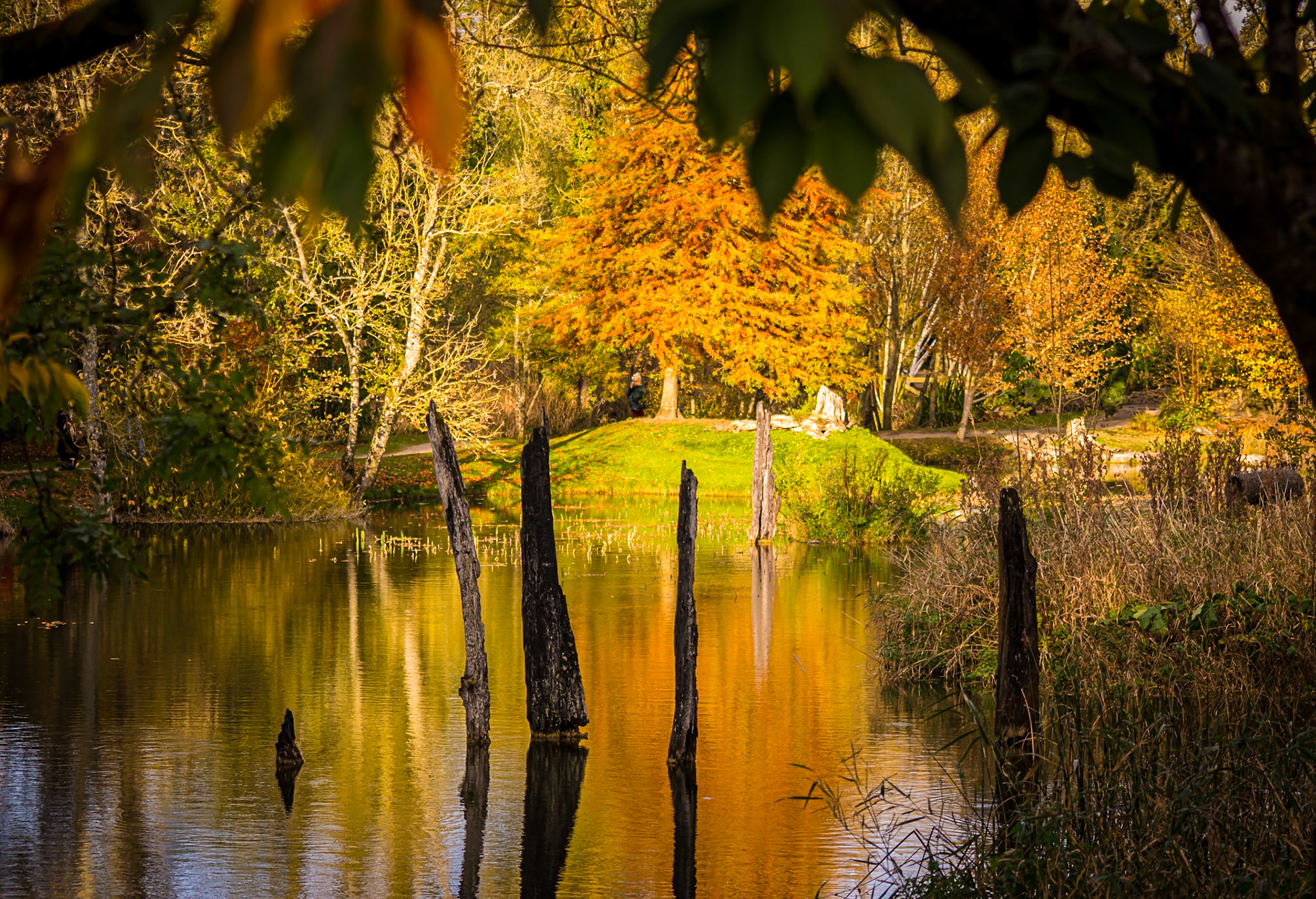 Documenting the peaceful estate grounds of the Irish National Stud, where world-class equine heritage meets the rolling green landscapes of Ireland's horse country.