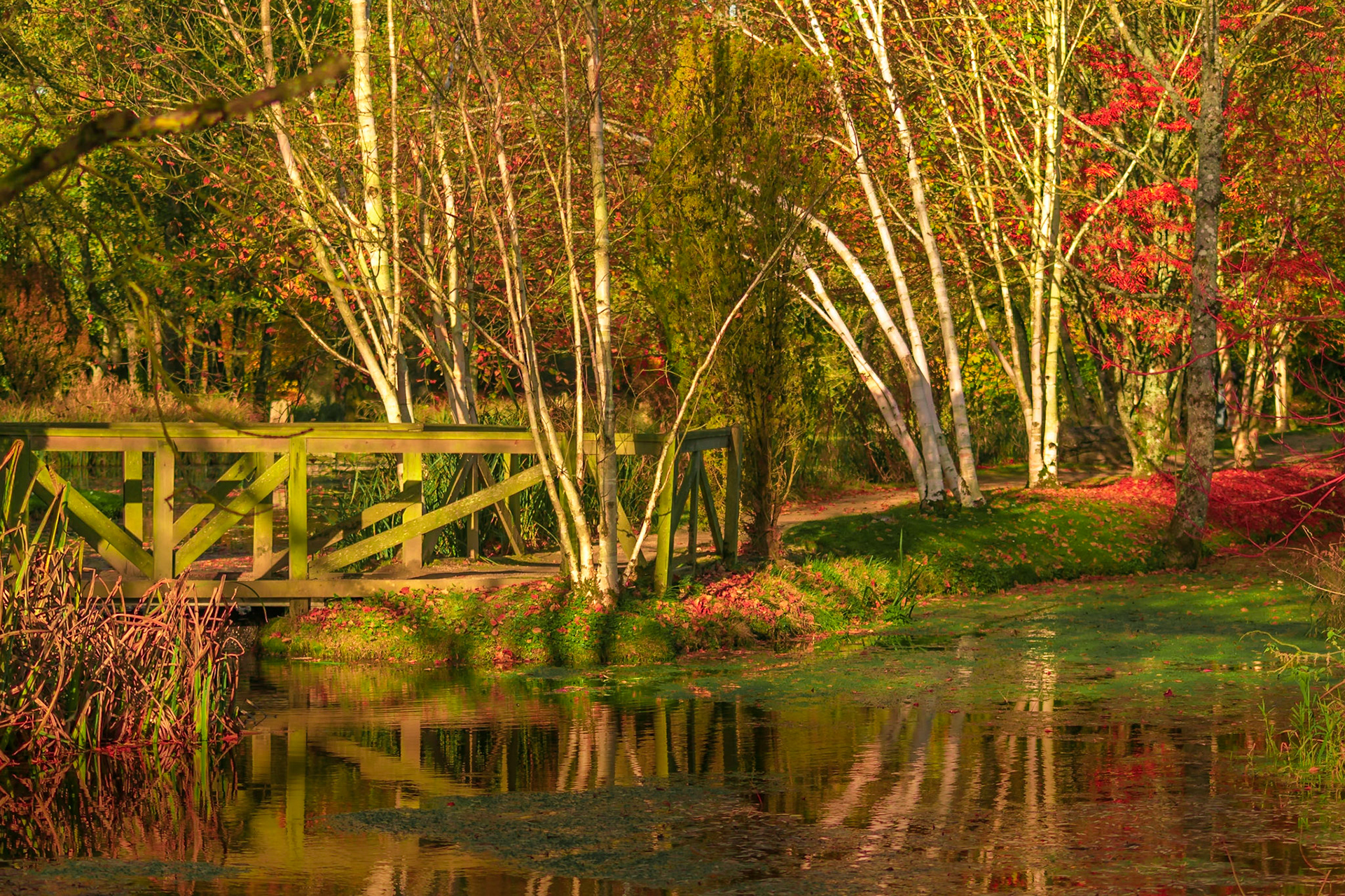 Red Irish countryside Irish National Stud