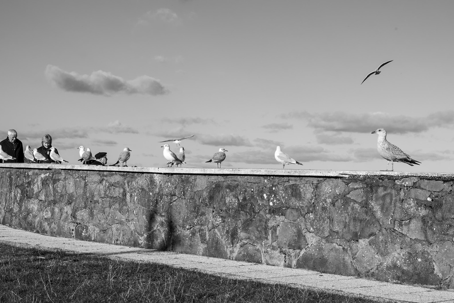 Finding the hidden stories, dramatic lines, and quiet moods that emerge when the world is reduced to monochrome.