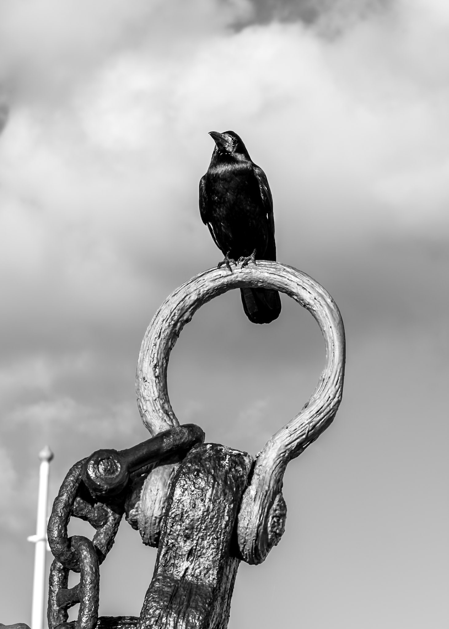 Finding the hidden stories, dramatic lines, and quiet moods that emerge when the world is reduced to monochrome.