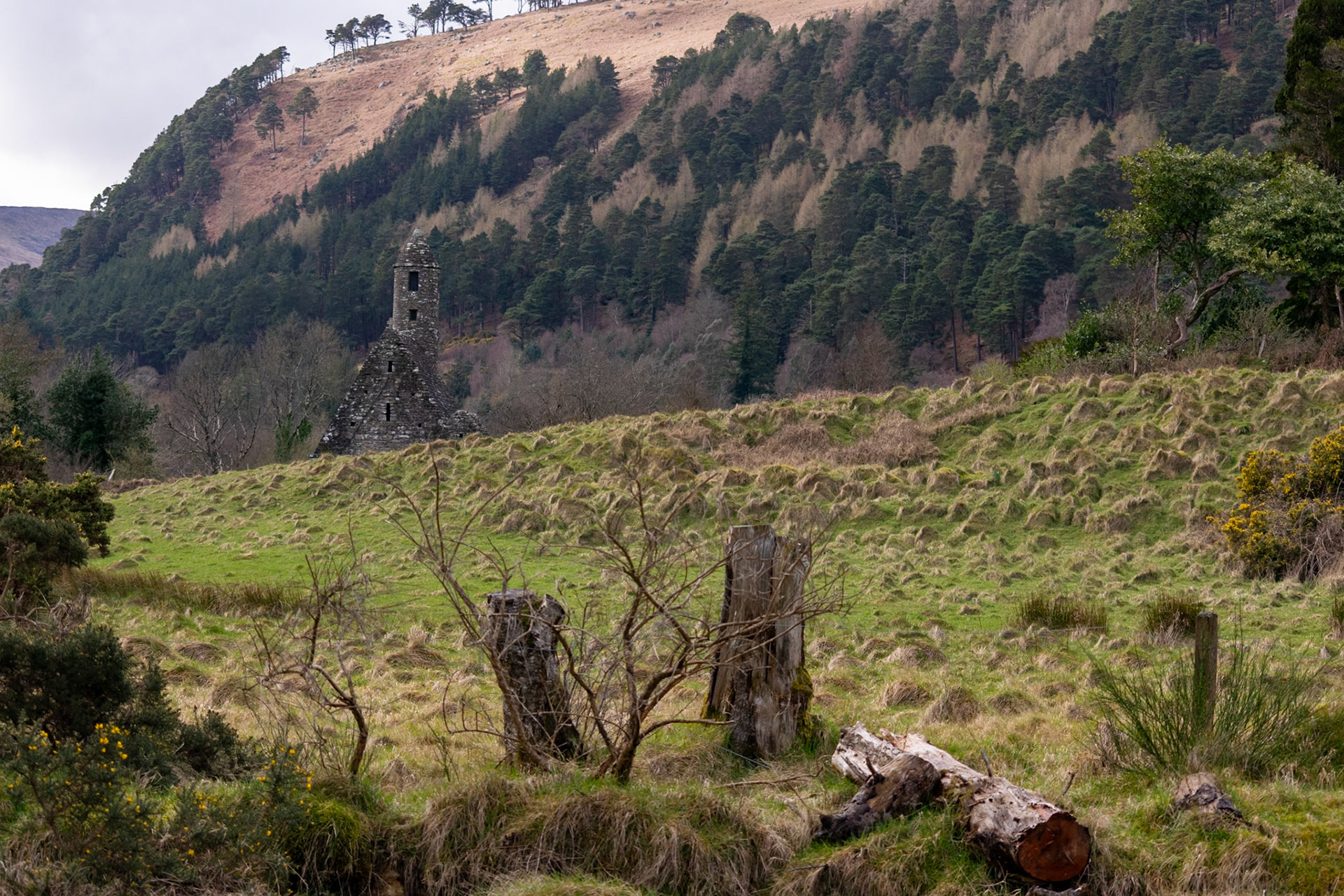 Wandering through the ancient, moss-covered ruins and weathered high crosses of Glendalough's 6th-century monastic city.