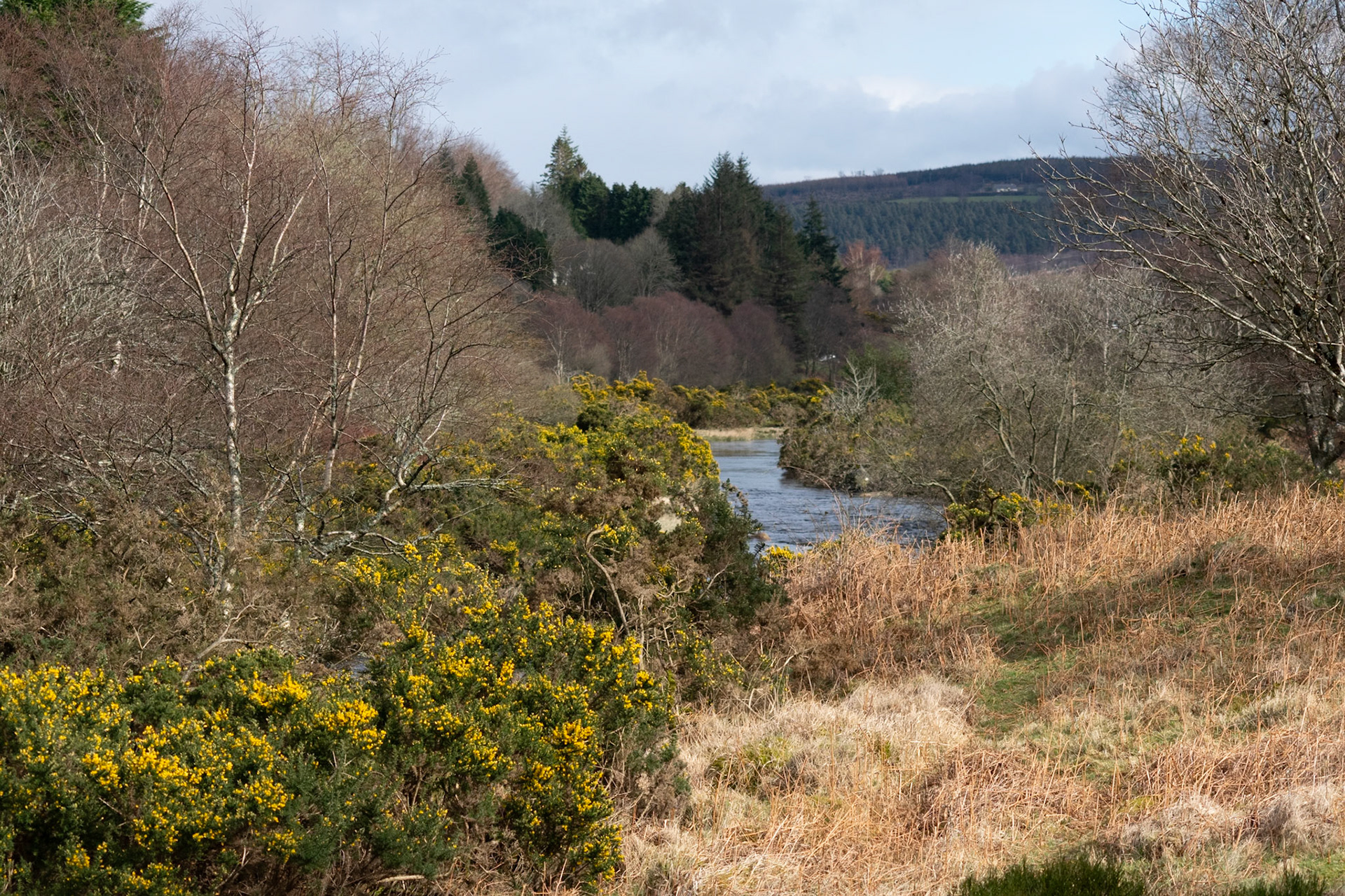 Wandering through the ancient, moss-covered ruins and weathered high crosses of Glendalough's 6th-century monastic city.