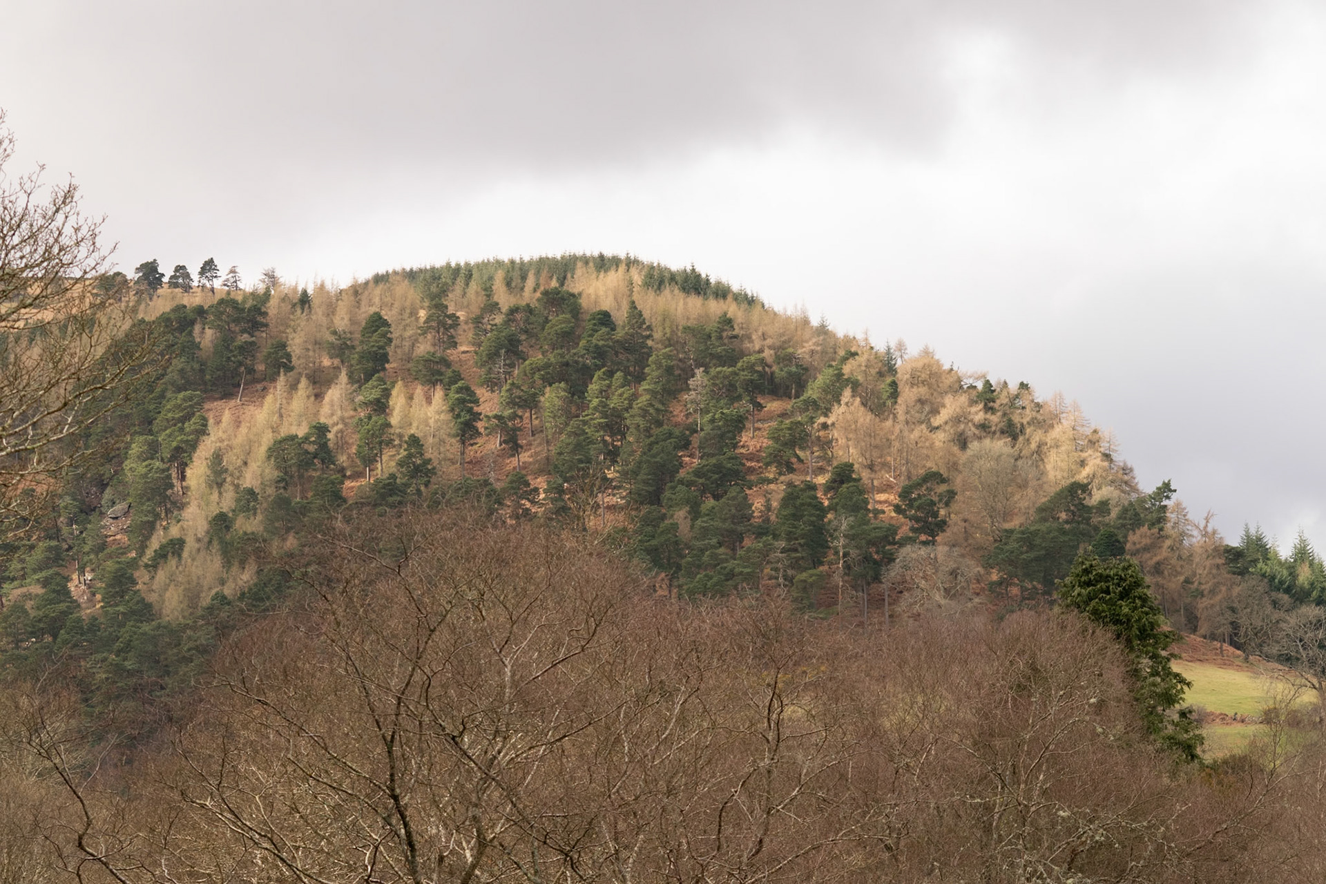 Wandering through the ancient, moss-covered ruins and weathered high crosses of Glendalough's 6th-century monastic city.