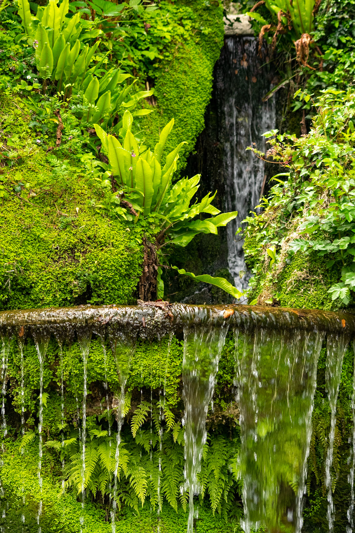 Beautiful waterfall