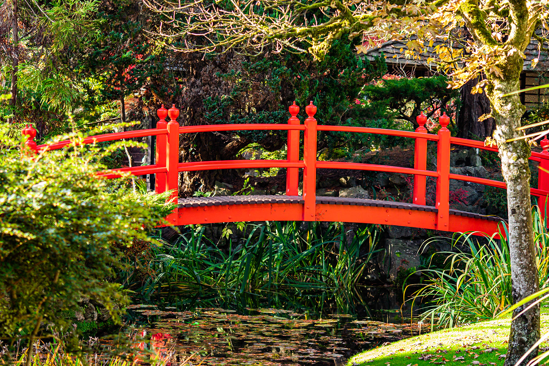Documenting the peaceful estate grounds of the Irish National Stud, where world-class equine heritage meets the rolling green landscapes of Ireland's horse country.