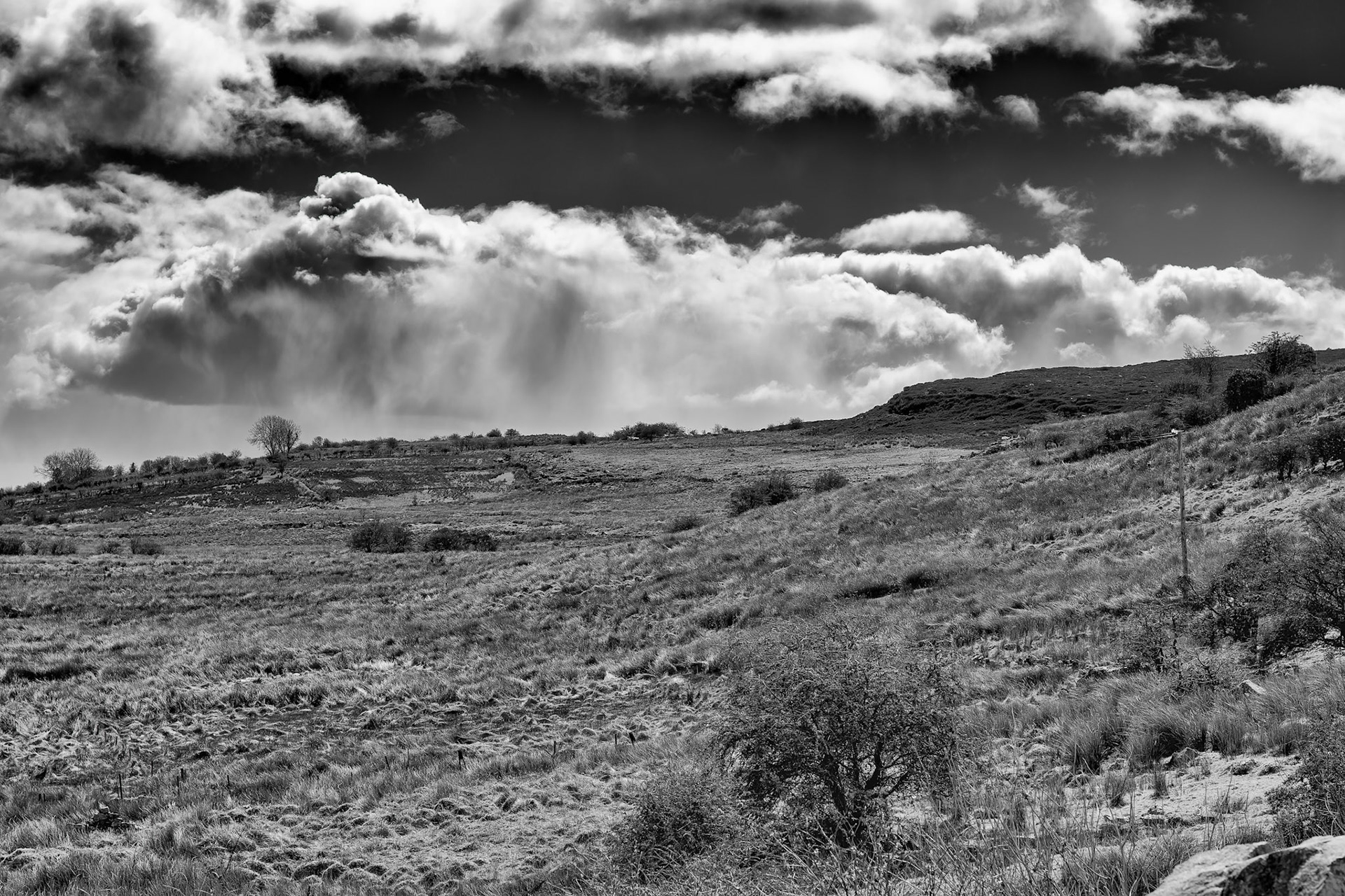 Finding the hidden stories, dramatic lines, and quiet moods that emerge when the world is reduced to monochrome.