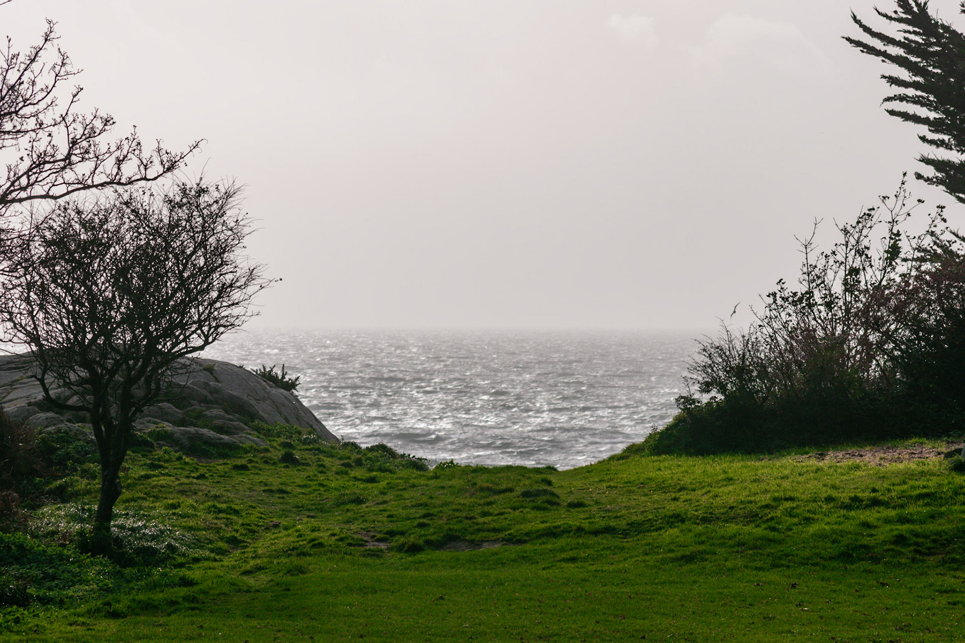 The raw, unyielding power of the Atlantic as ex-Hurricane Ophelia made landfall, turning the quiet eastern coastline into a wall of crashing spray.