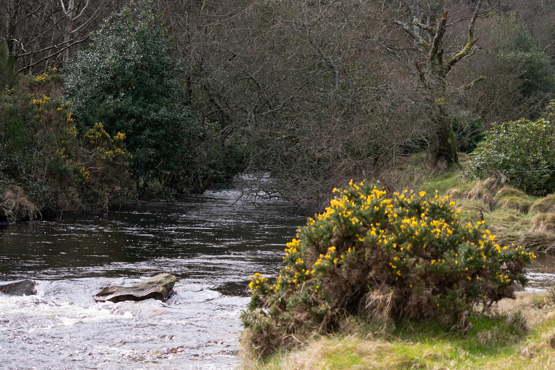 Wandering through the ancient, moss-covered ruins and weathered high crosses of Glendalough's 6th-century monastic city.