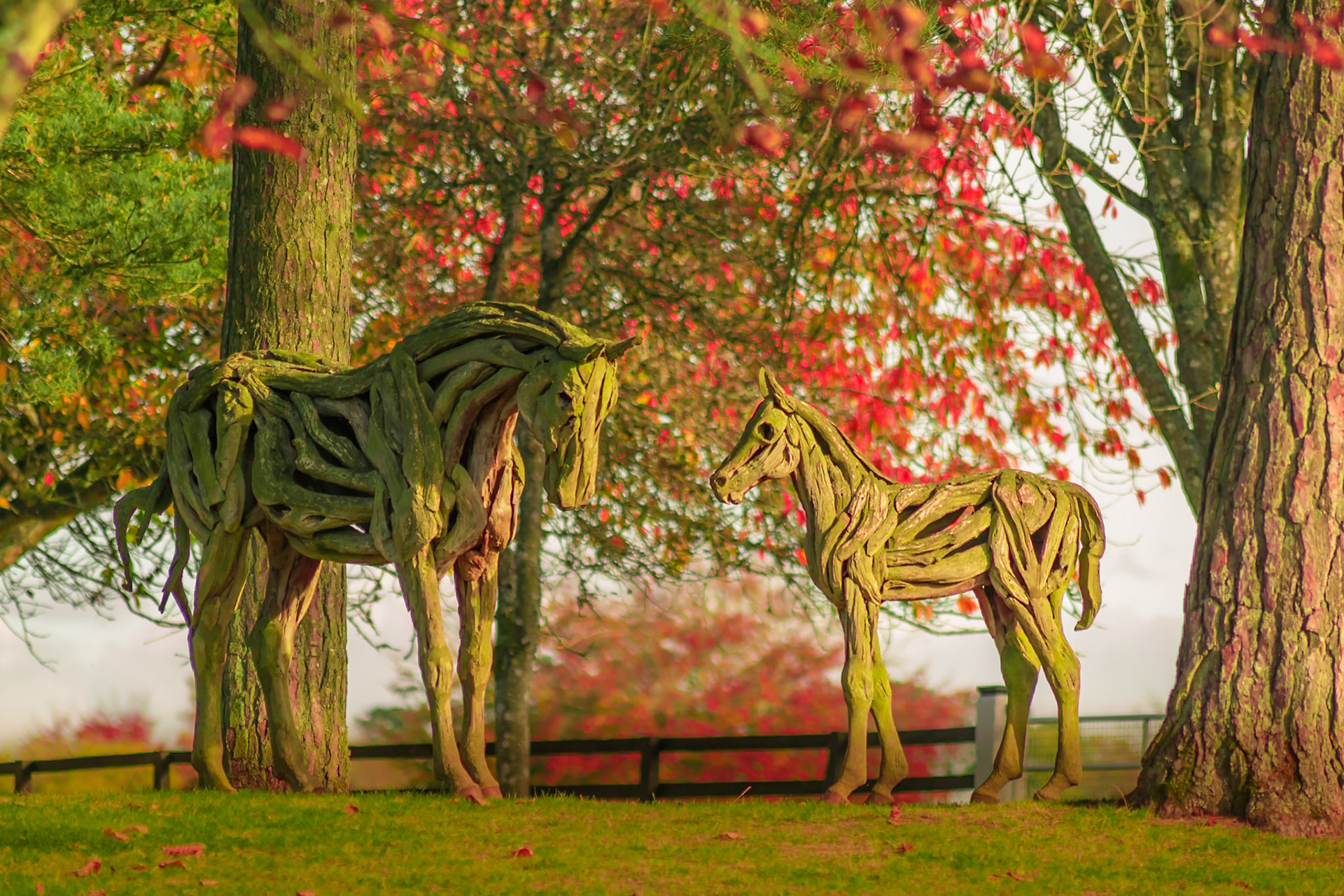 Red Irish countryside Irish National Stud