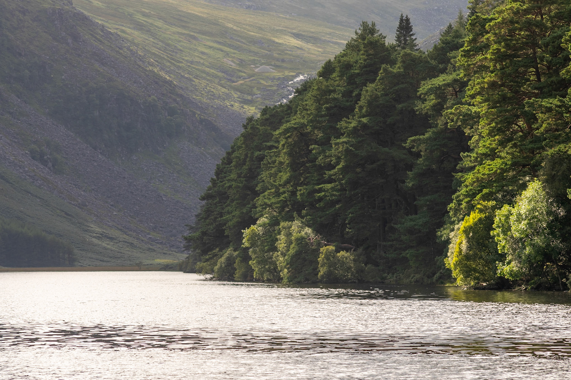 Wandering through the ancient, moss-covered ruins and weathered high crosses of Glendalough's 6th-century monastic city.