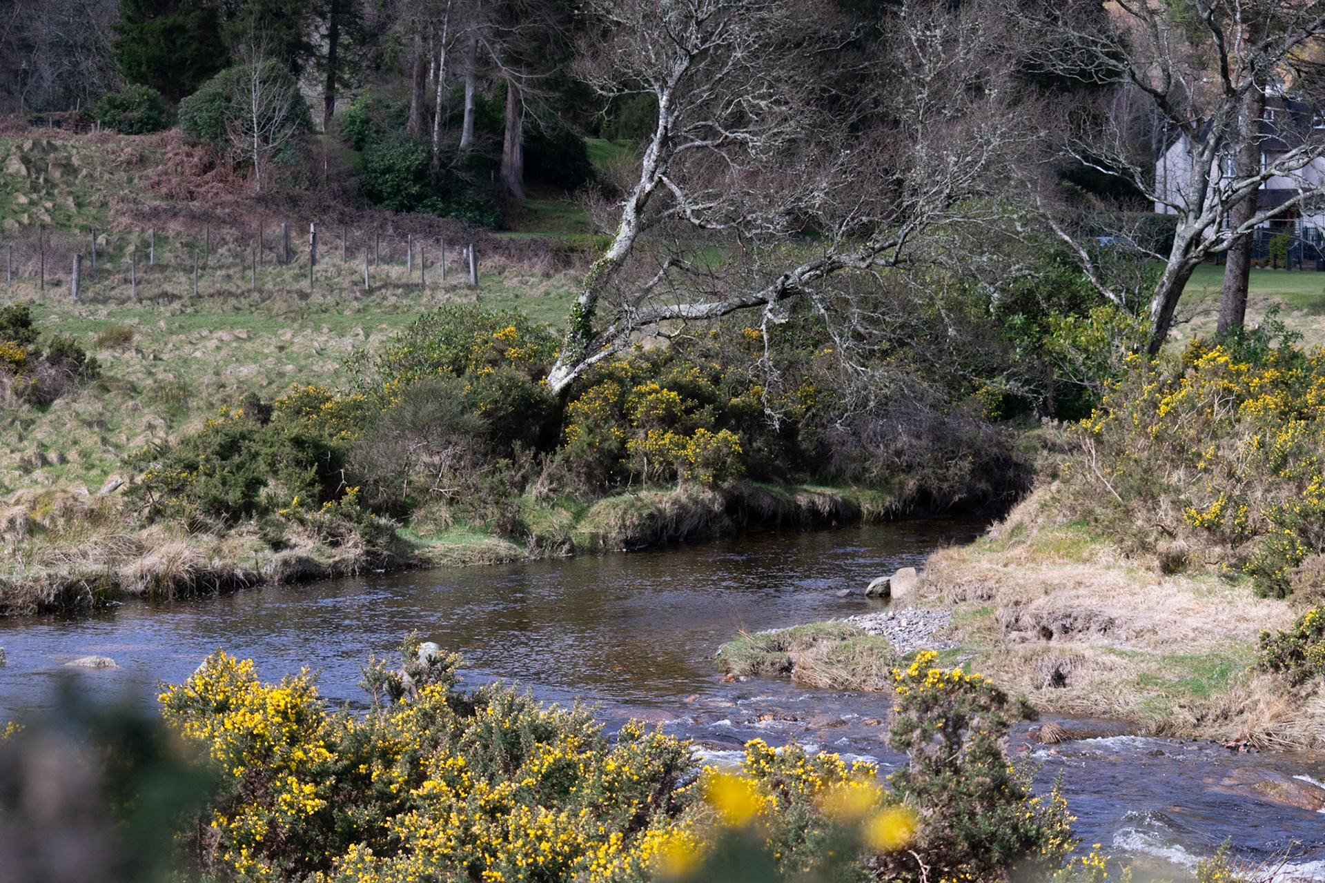 Wandering through the ancient, moss-covered ruins and weathered high crosses of Glendalough's 6th-century monastic city.