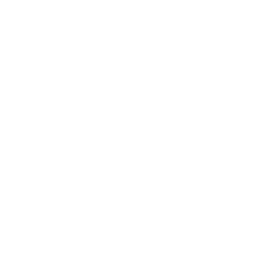 Branded Design Studio logo