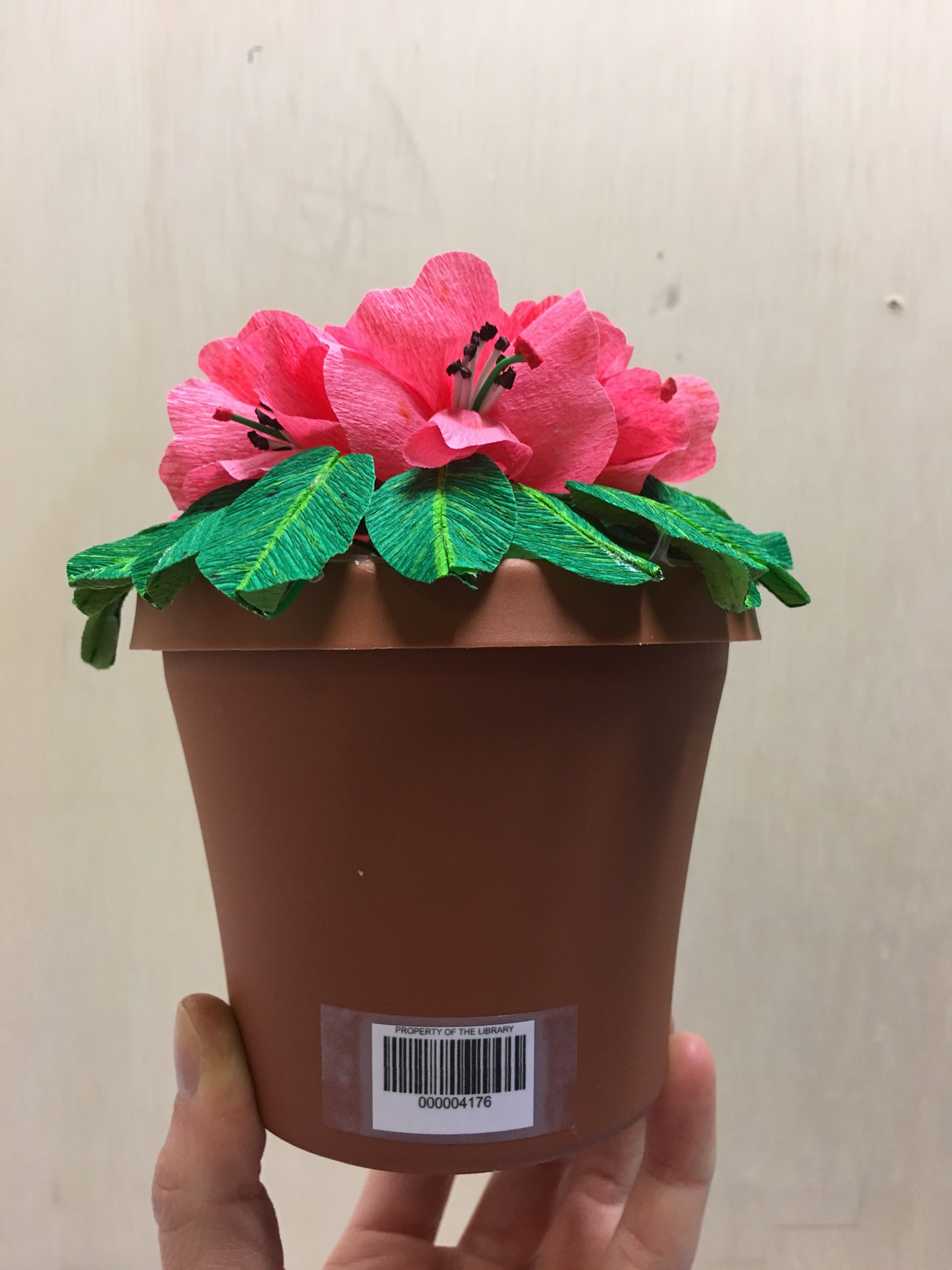 Physical Interface: a plant model that can be scanned with a mobile device to view the plant's webpage of related collection items