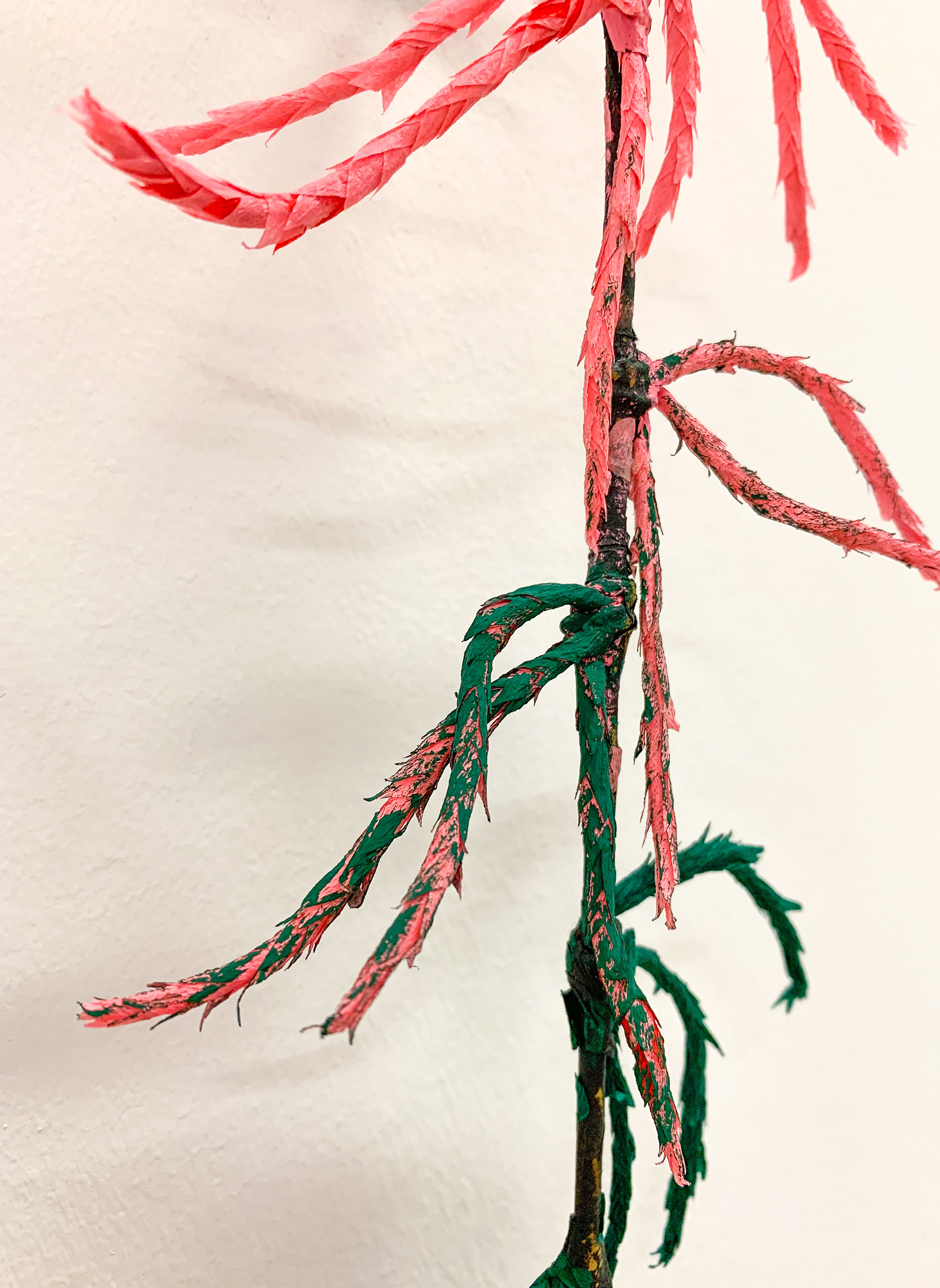 Close up of the sphagnum moss model
