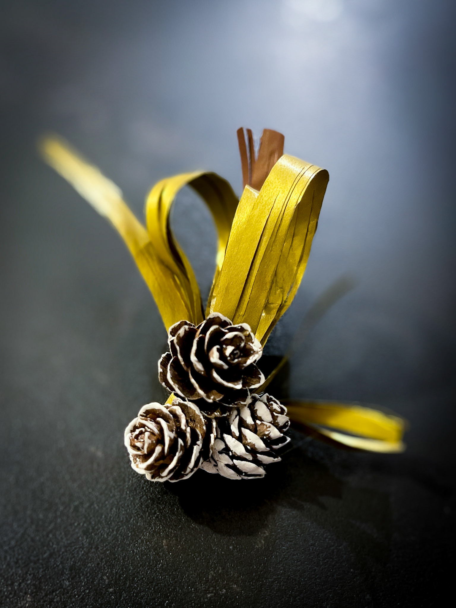 Photo taken with Focos