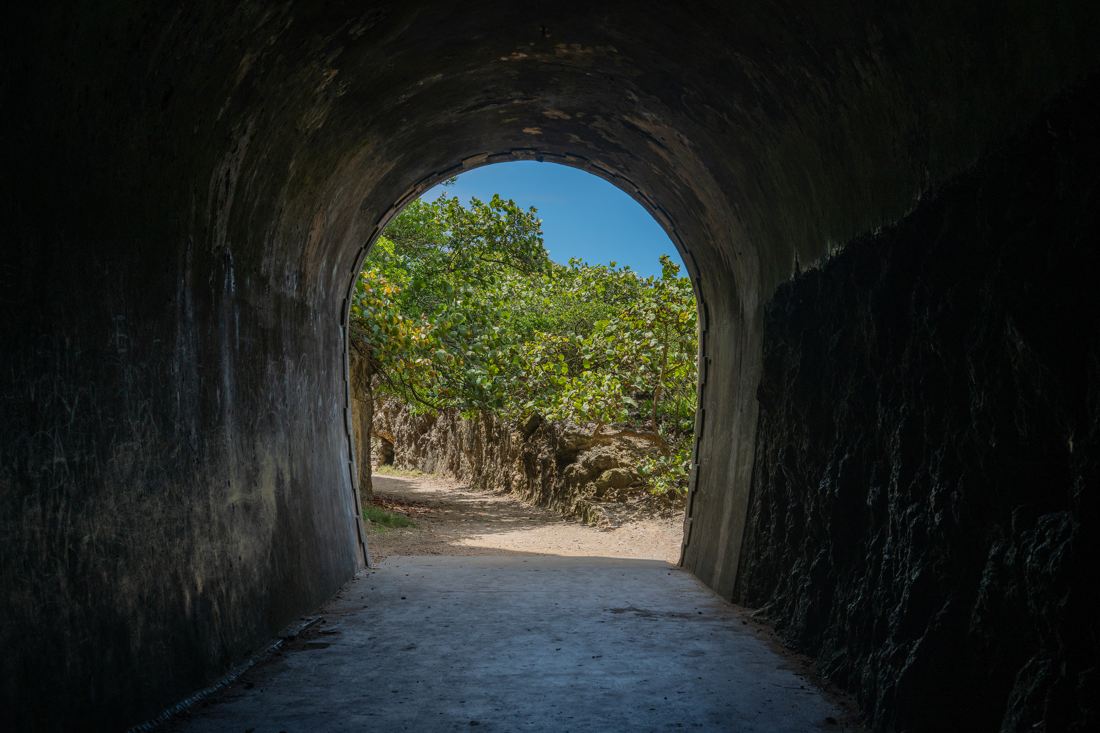 André Zhang Sonera | Túnel Guajataca, 2025 