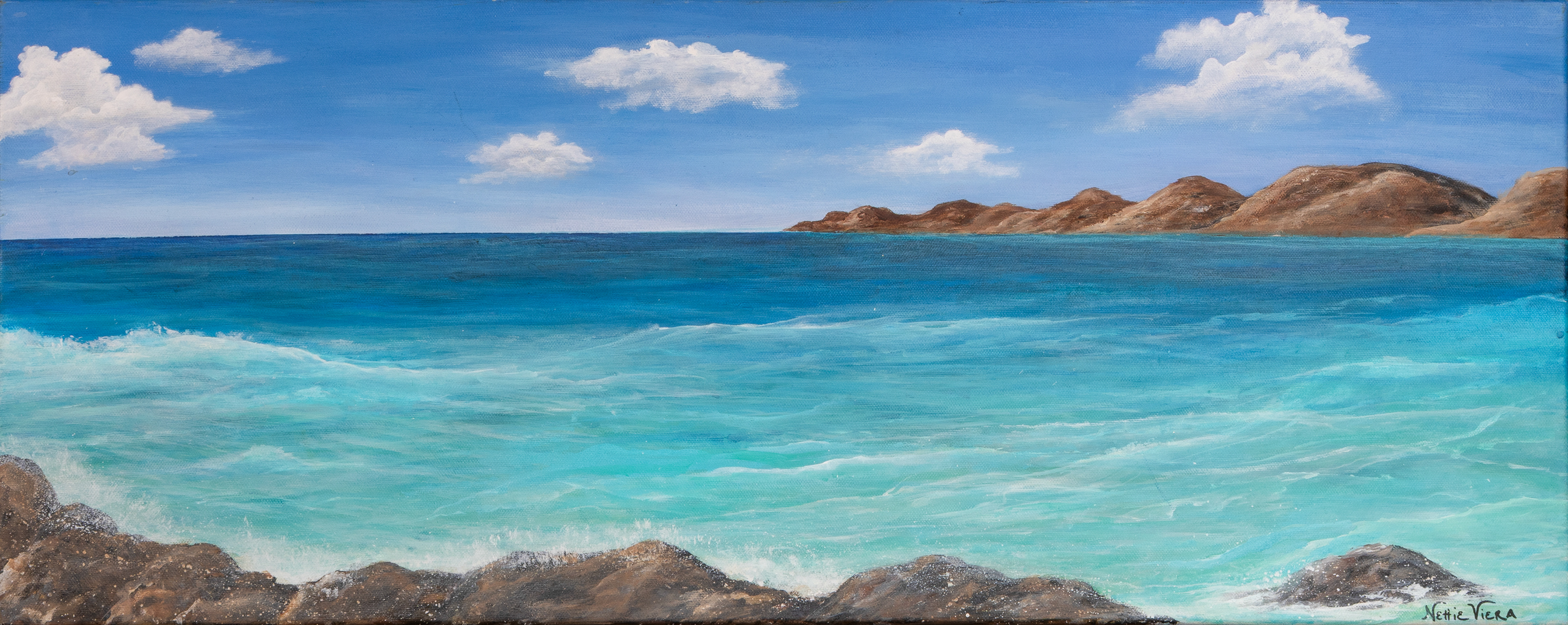 Nettie Viera | Playa, 2025