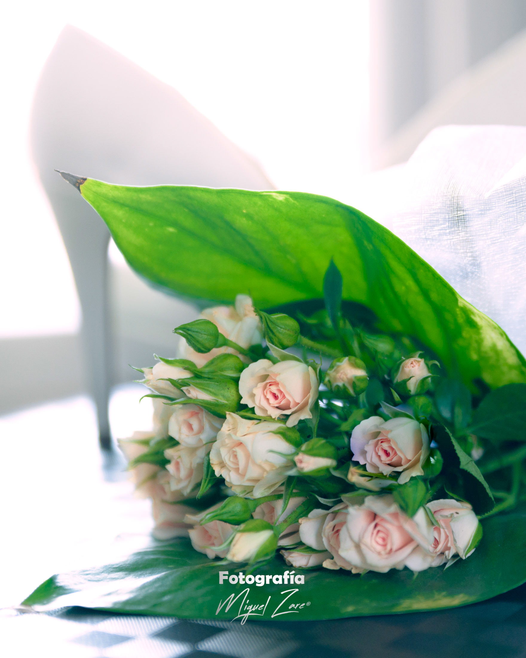 fotografo de boda, Miguel Zare