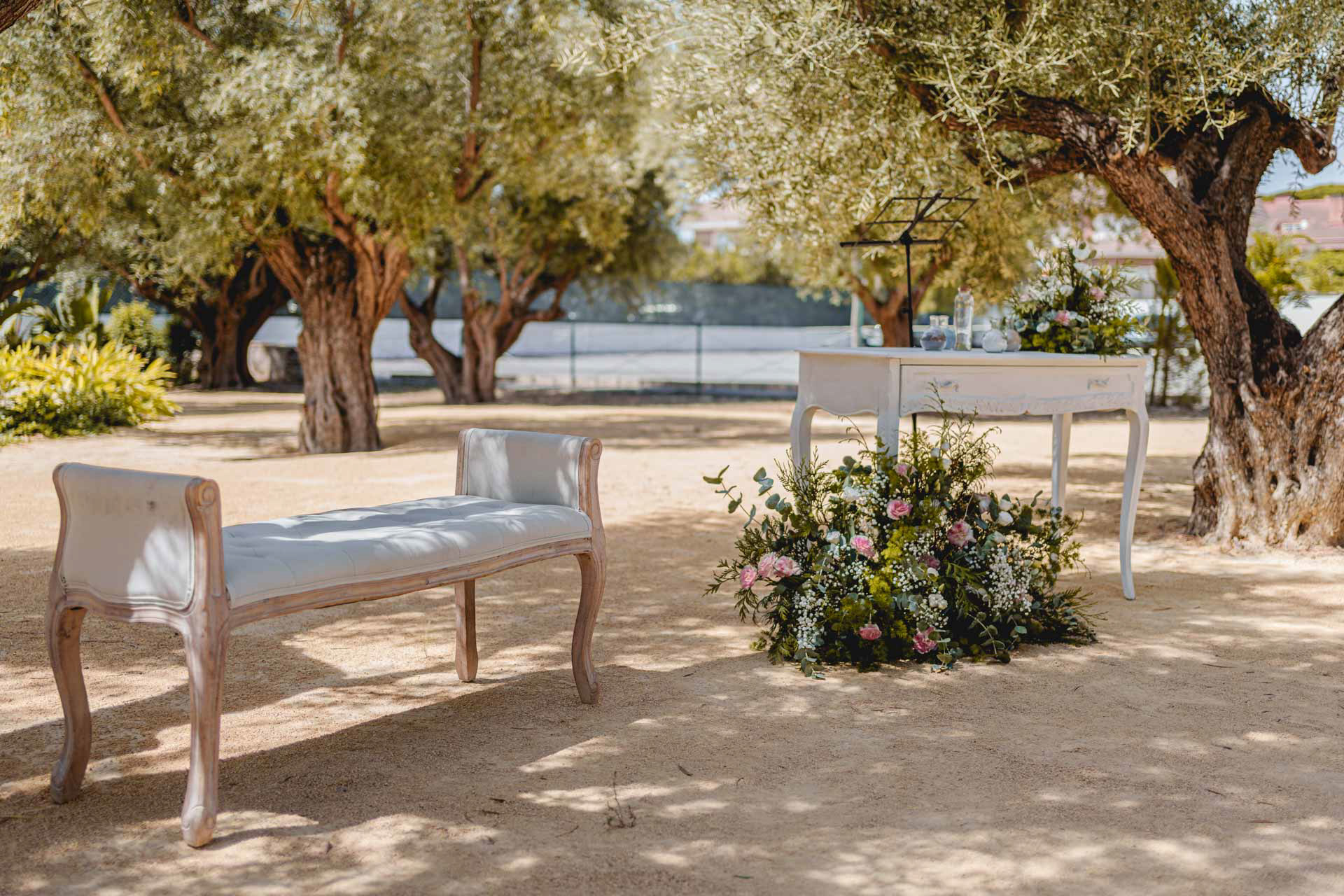 BODA FAMILIAR EN VILLA MARCONI DE DIE hecho por Miguel Zare 