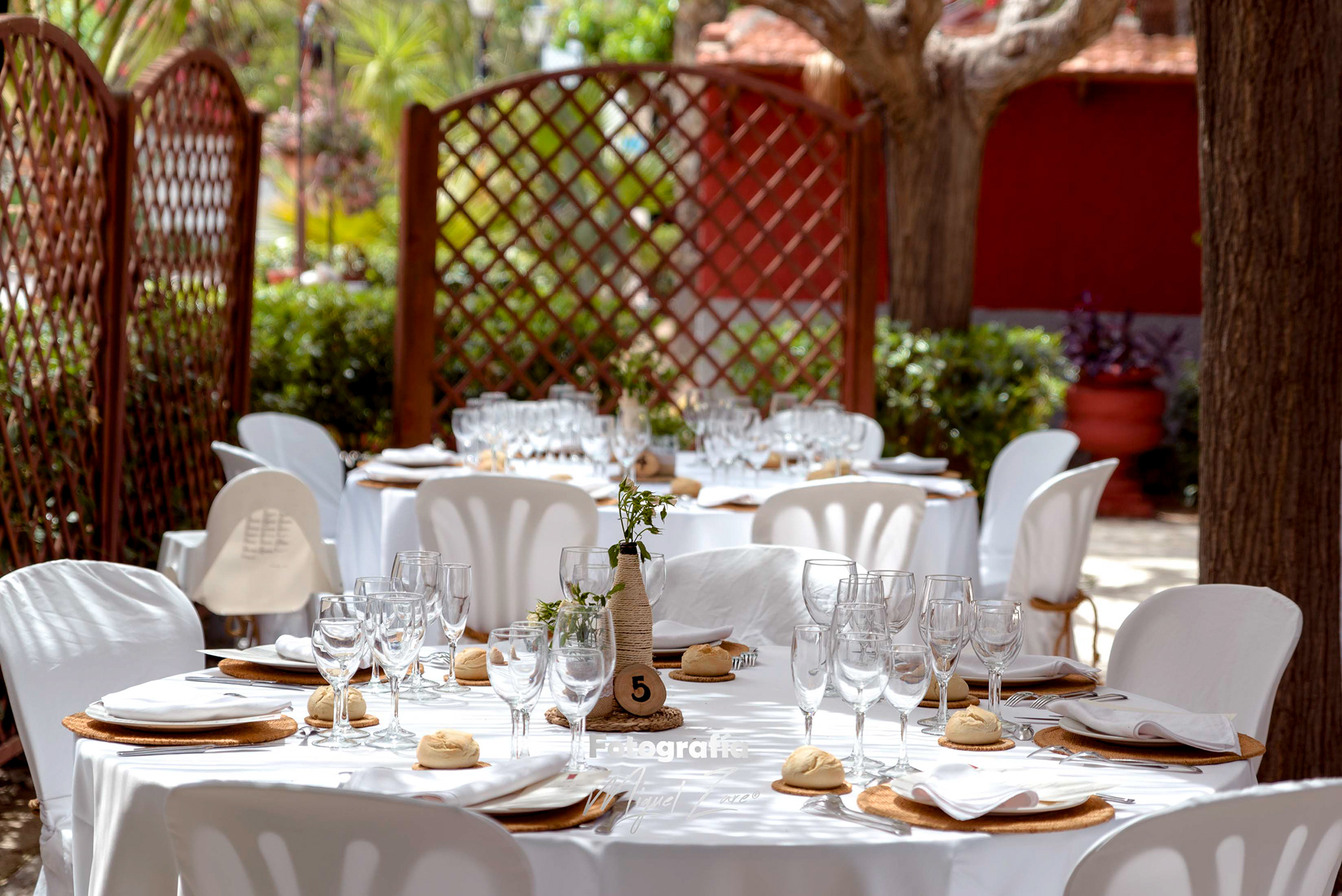 fotografo de boda, Miguel Zare