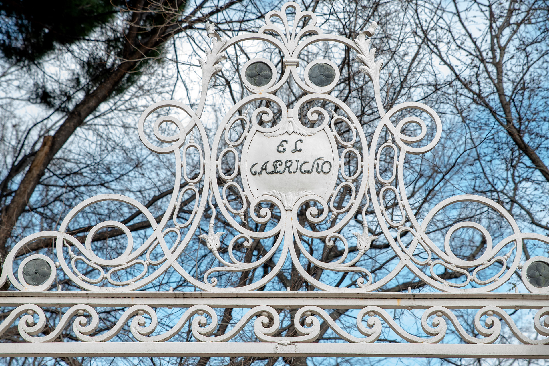 Fotografo de bodas en Alicante 