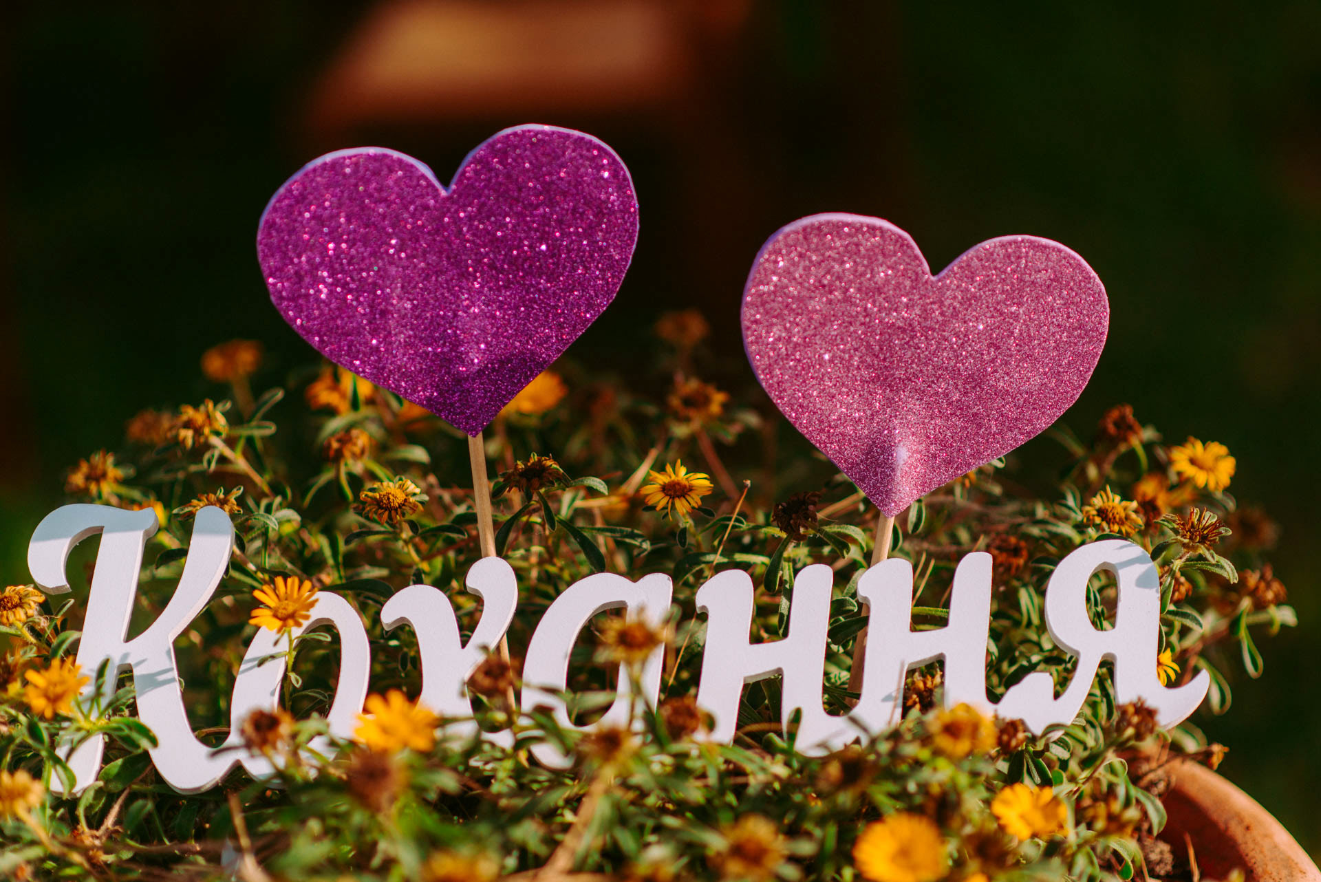 fotografo de bodas en alicante