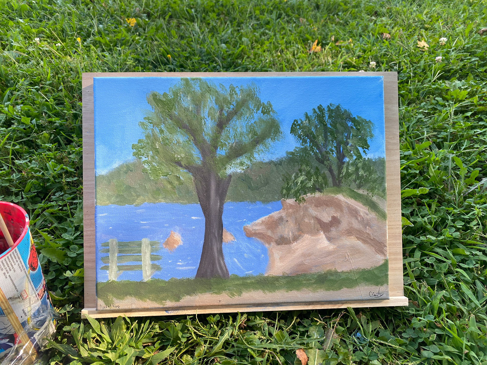 Willows