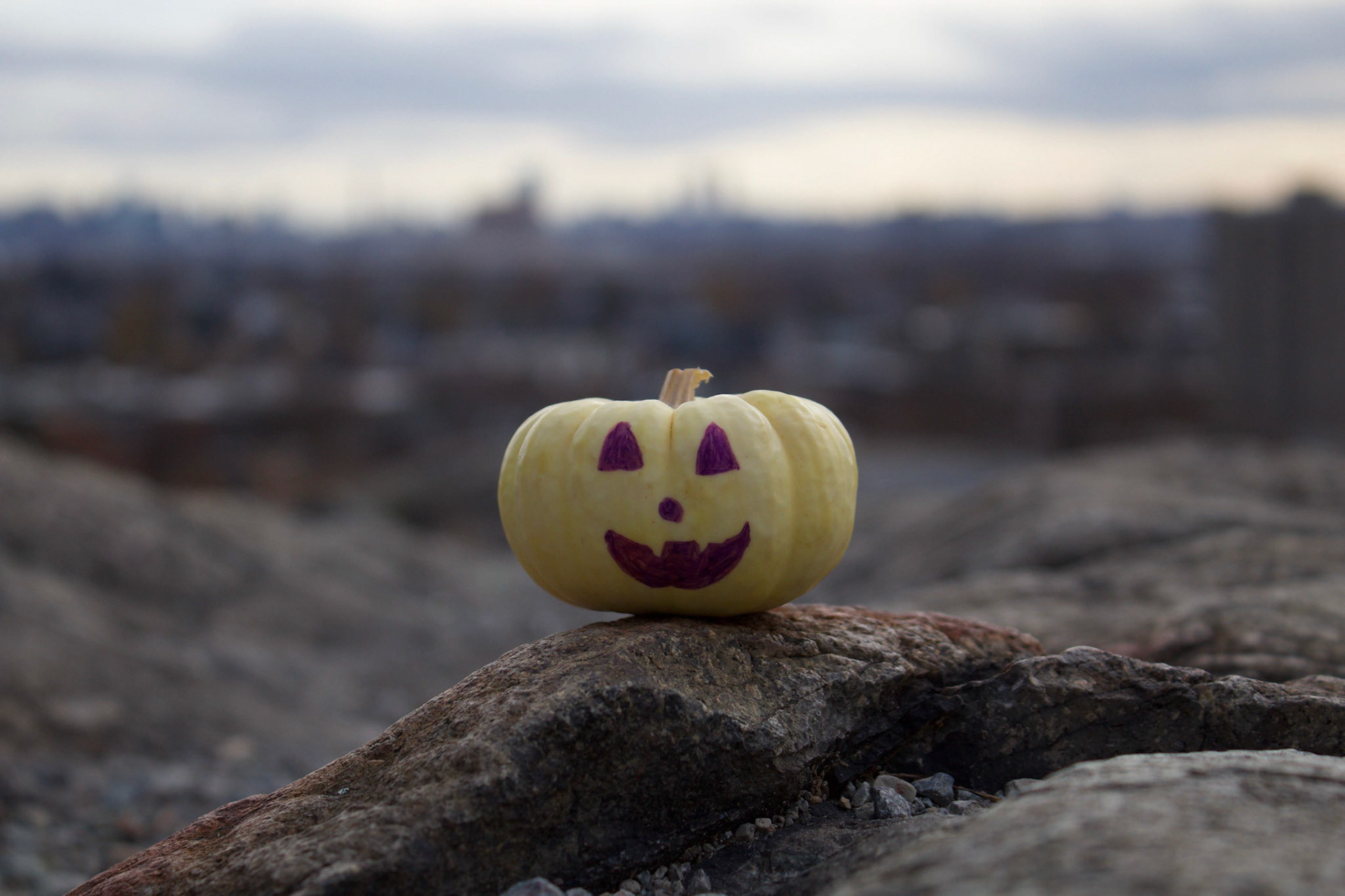 Adventure of Paul the Pumpkin 1