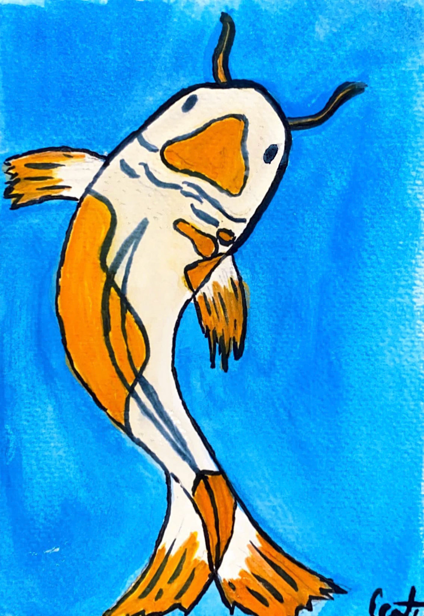 Koi Study