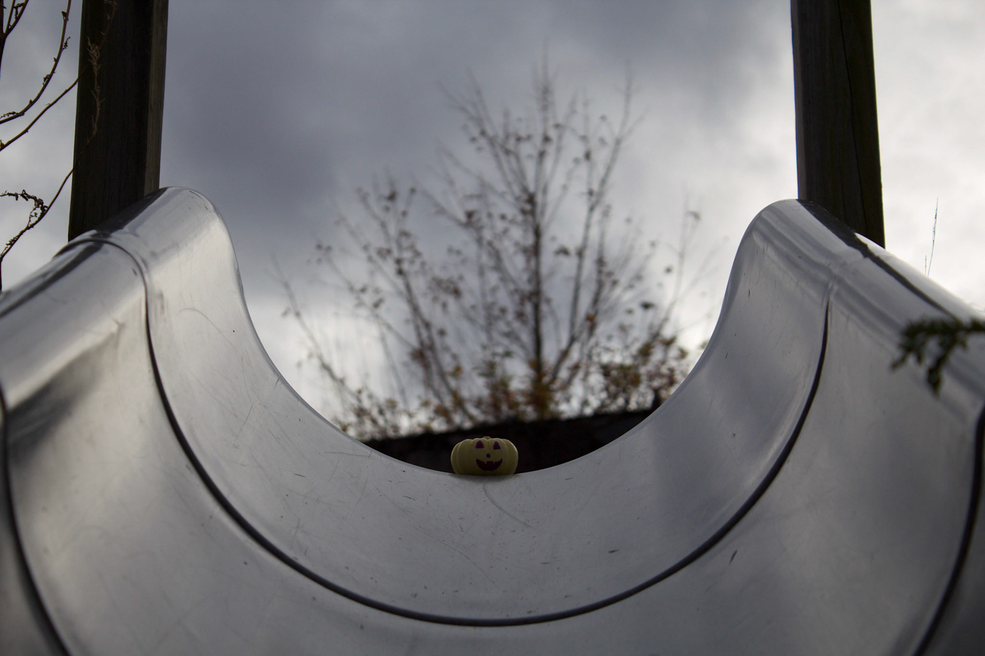 Adventure of Paul the Pumpkin 4