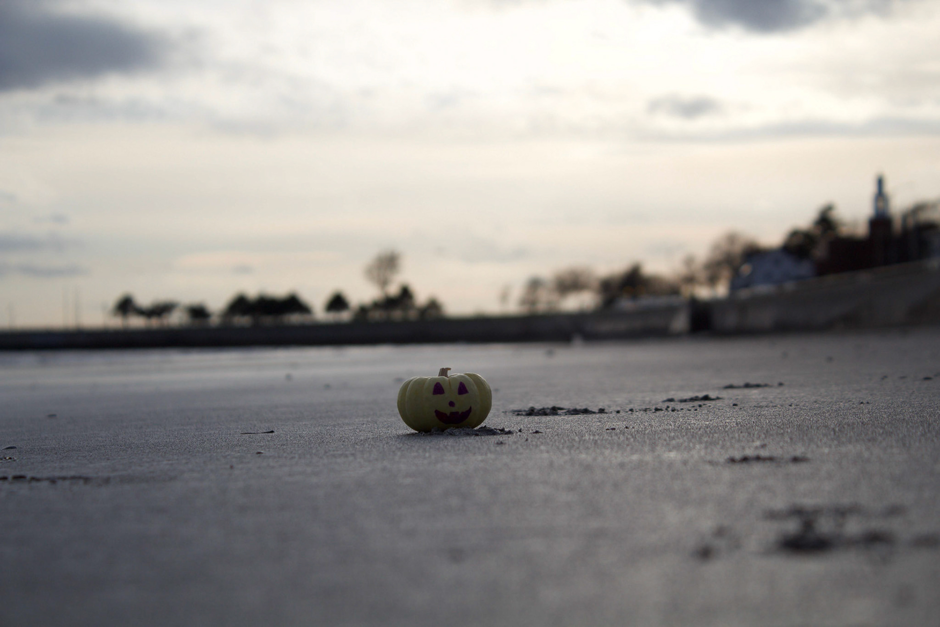 Adventure of Paul the Pumpkin 3