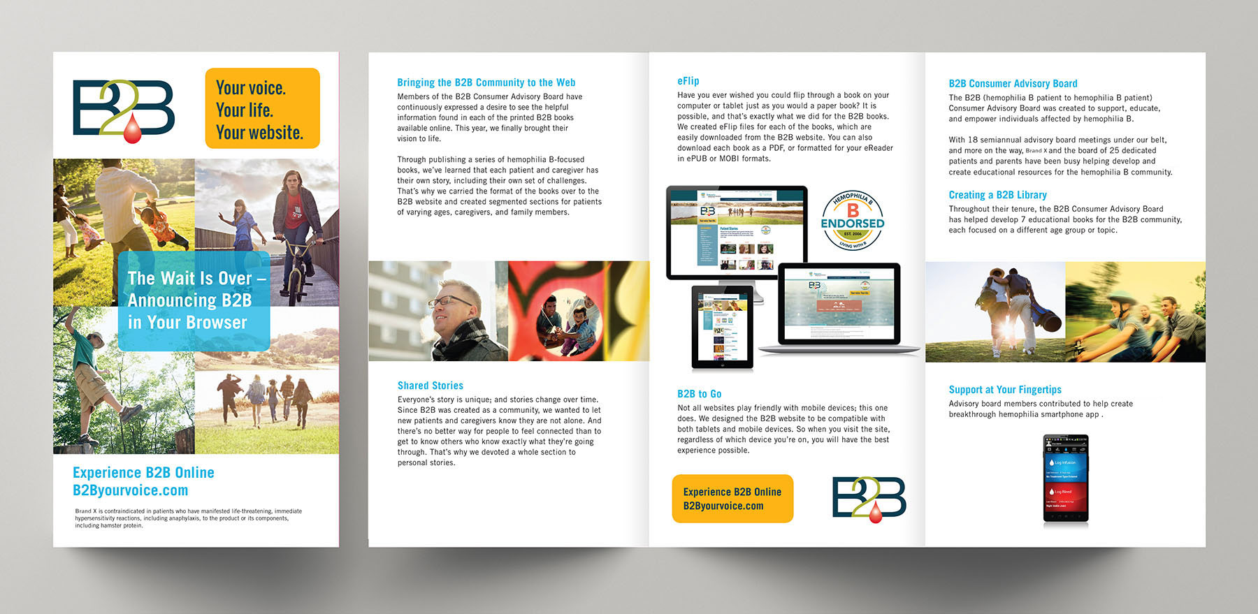 Patient Education Program Brochure