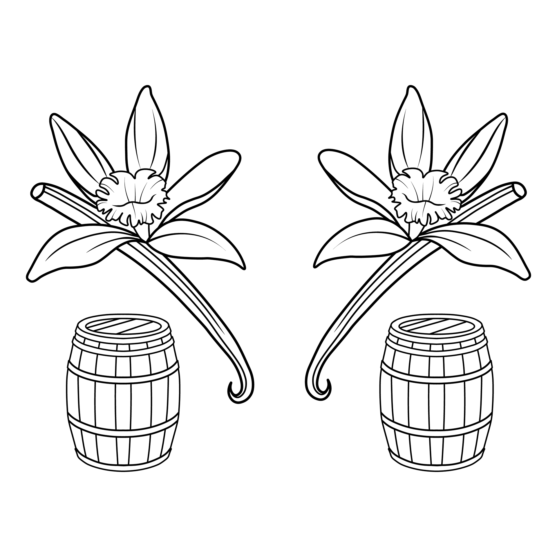 Vanilla/Barrel Illustration