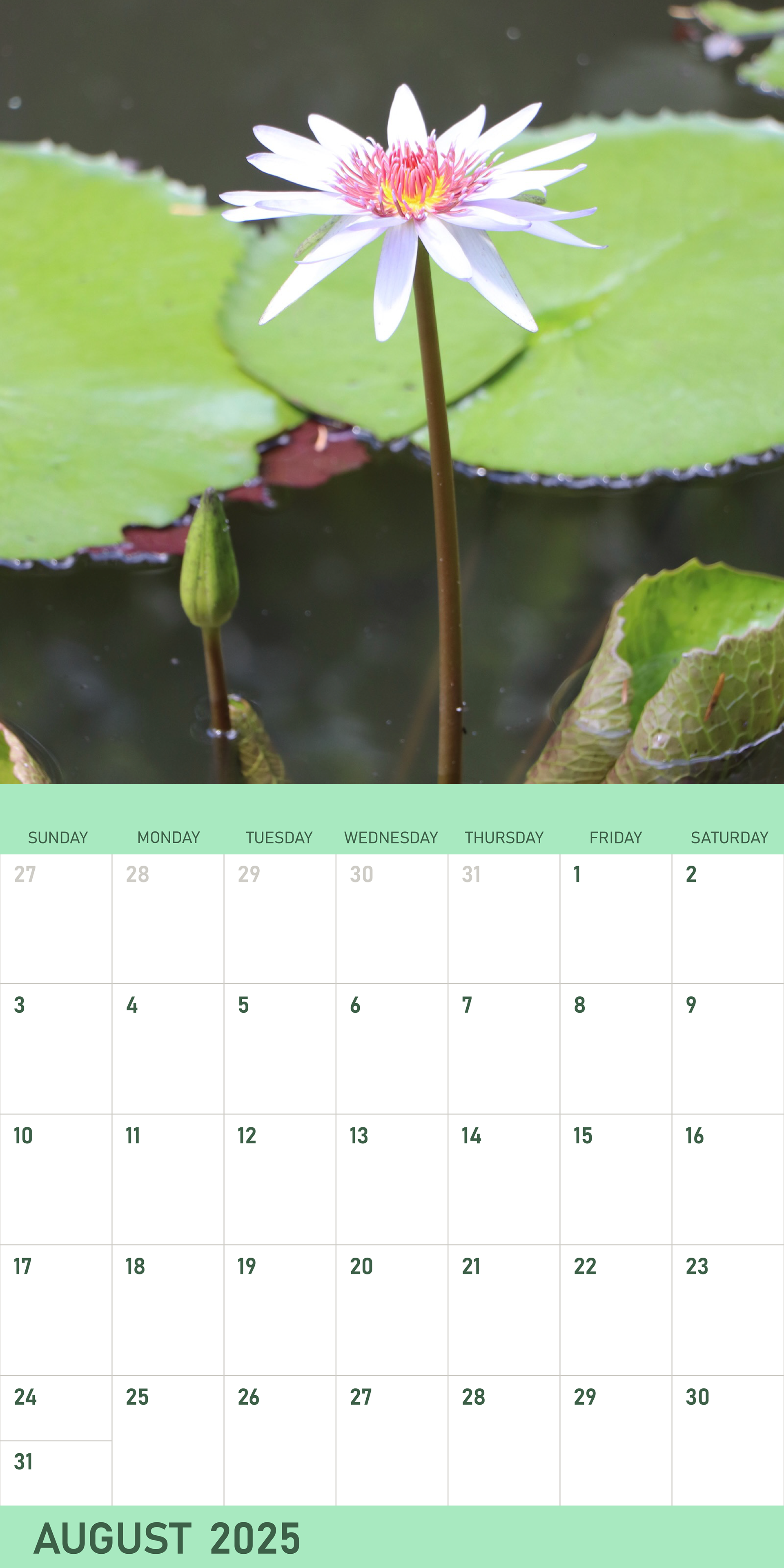 August