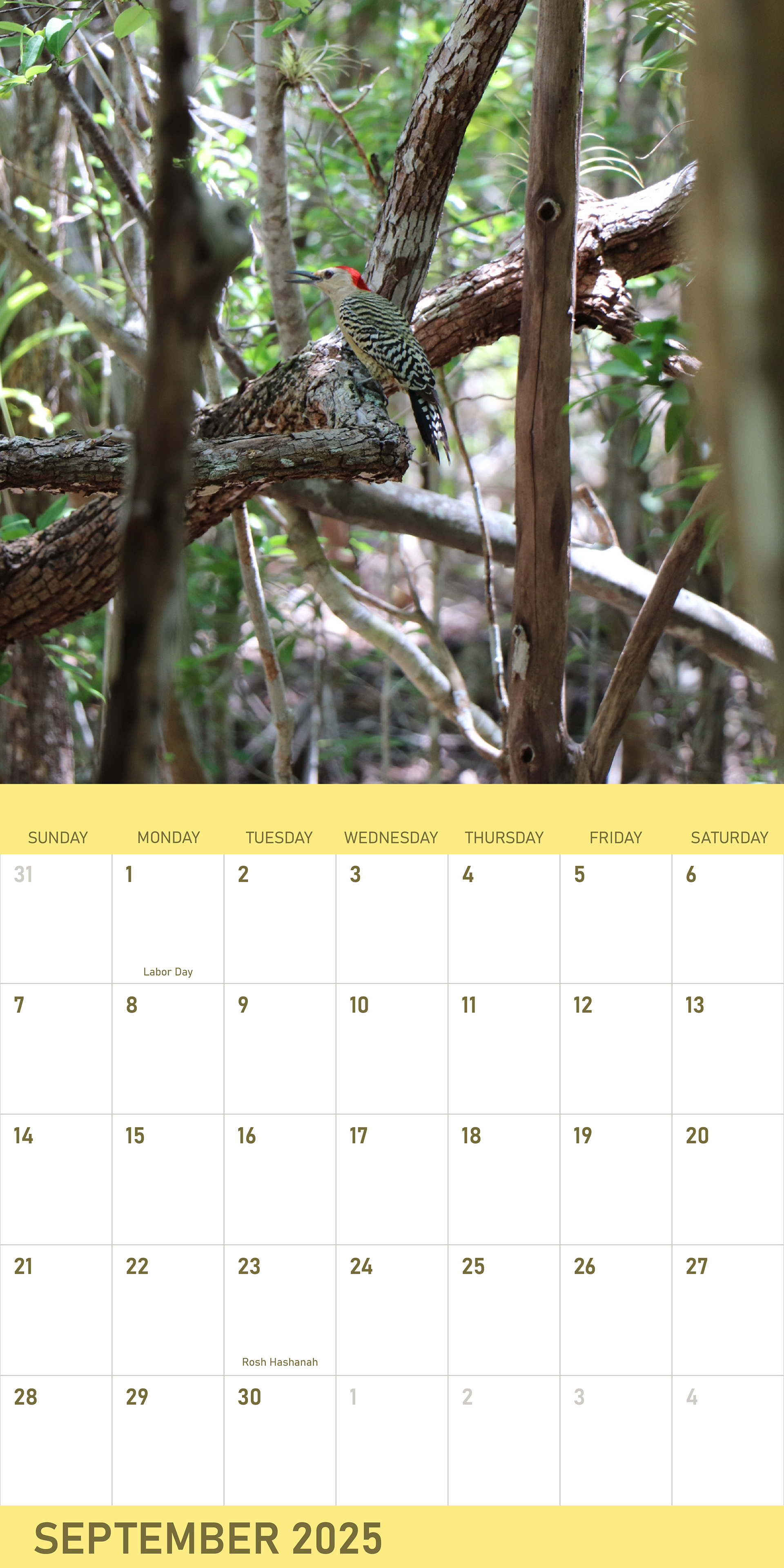 September