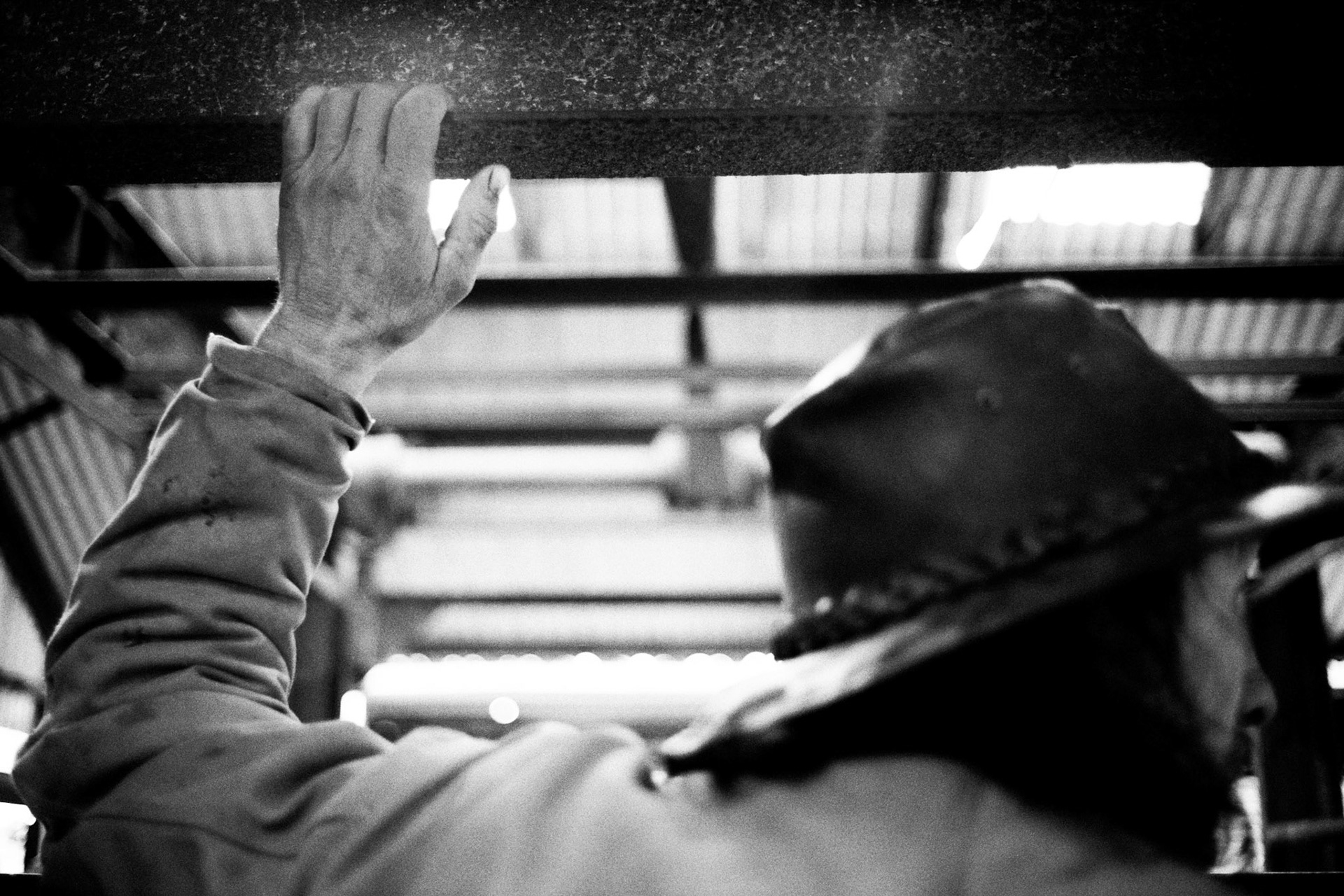 John works at the market herding livestock into and out of the pens. Abergavenny Livestock Market, December 2013.