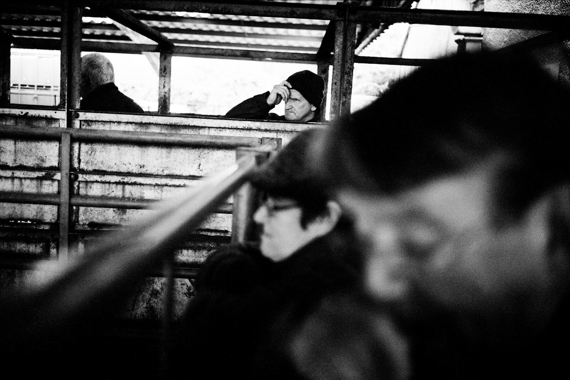 Haydn Coles waiting for the cattle auction to begin. Abergavenny Livestock Market, December 2013.