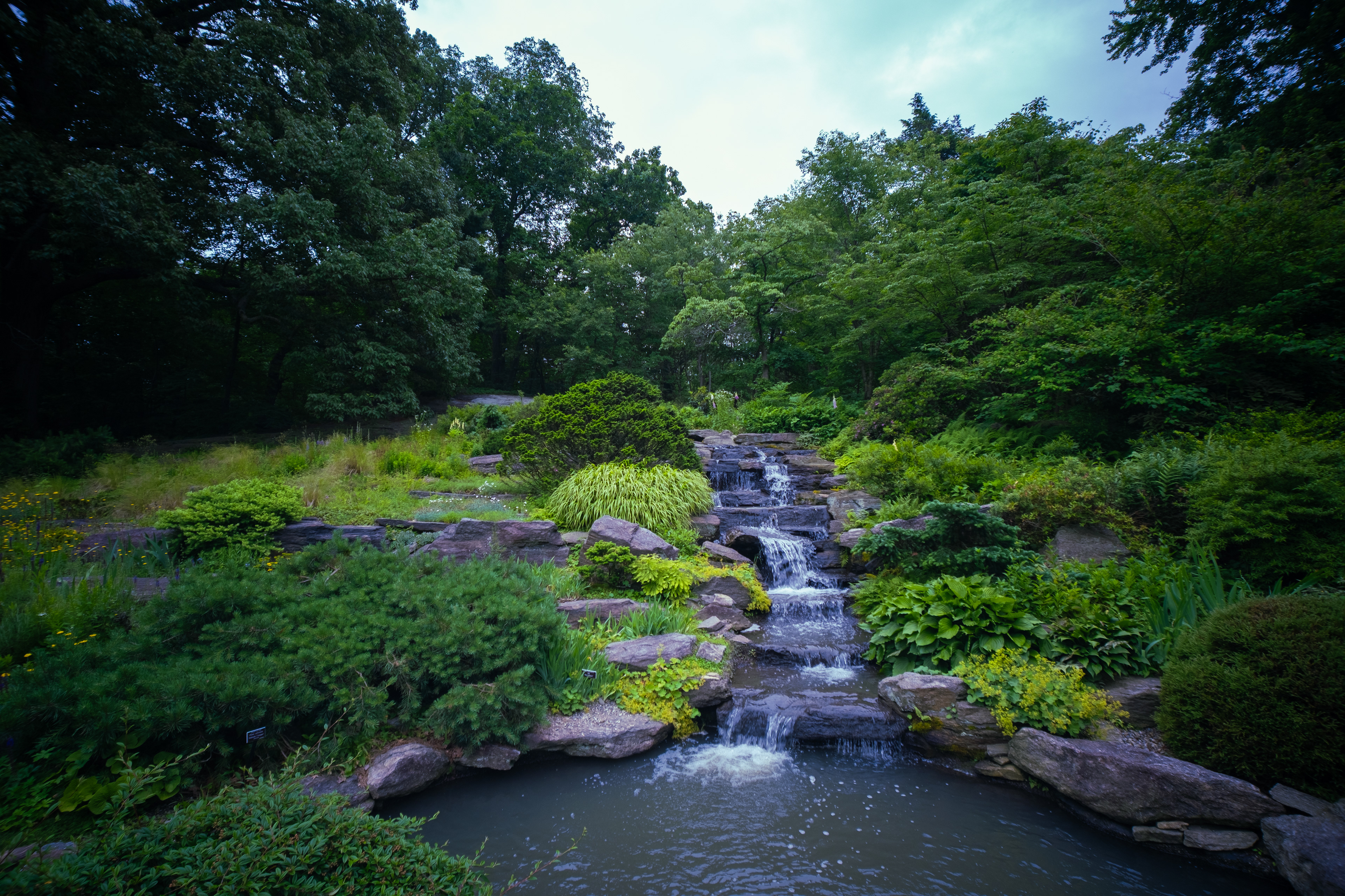 Botanical Falls